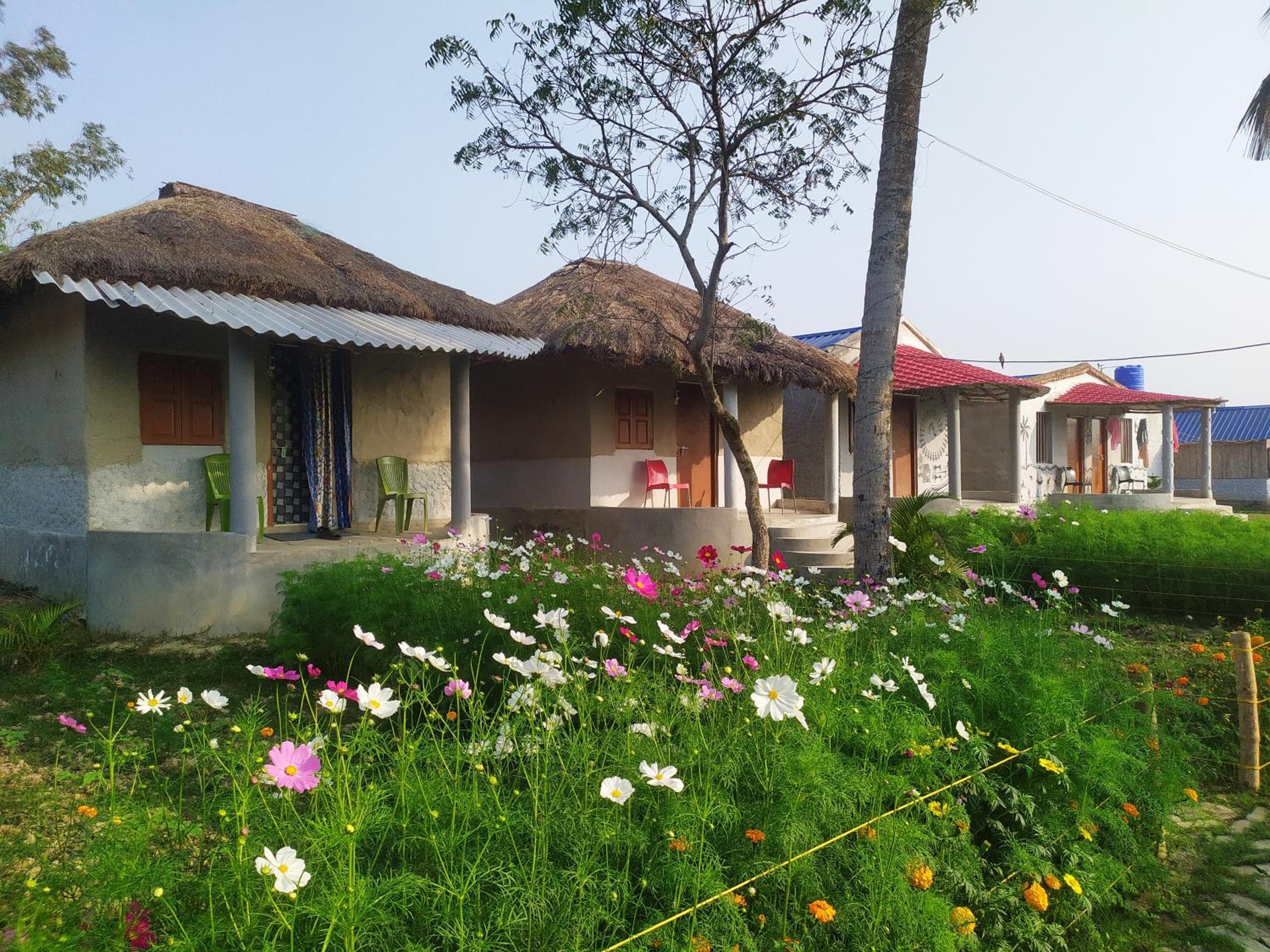 sundarban jungle mahal resort view 5