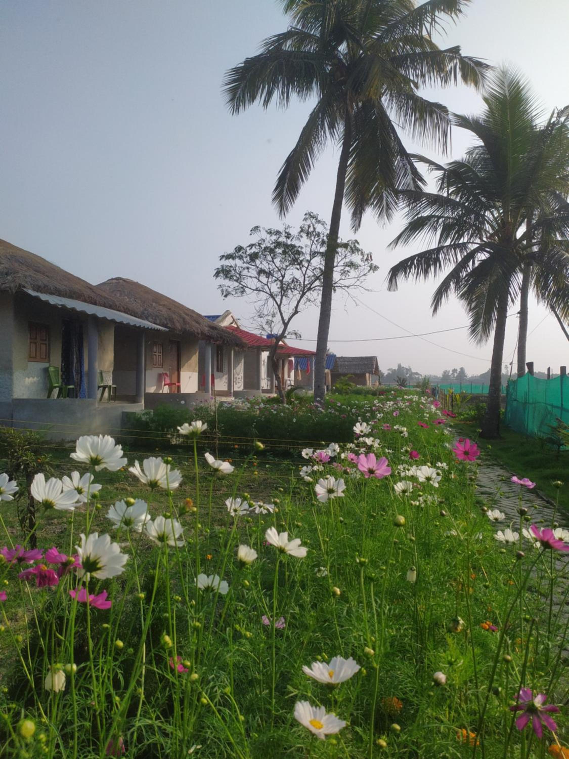 sundarban jungle mahal resort view 4