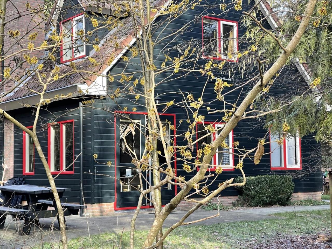 Photo 46