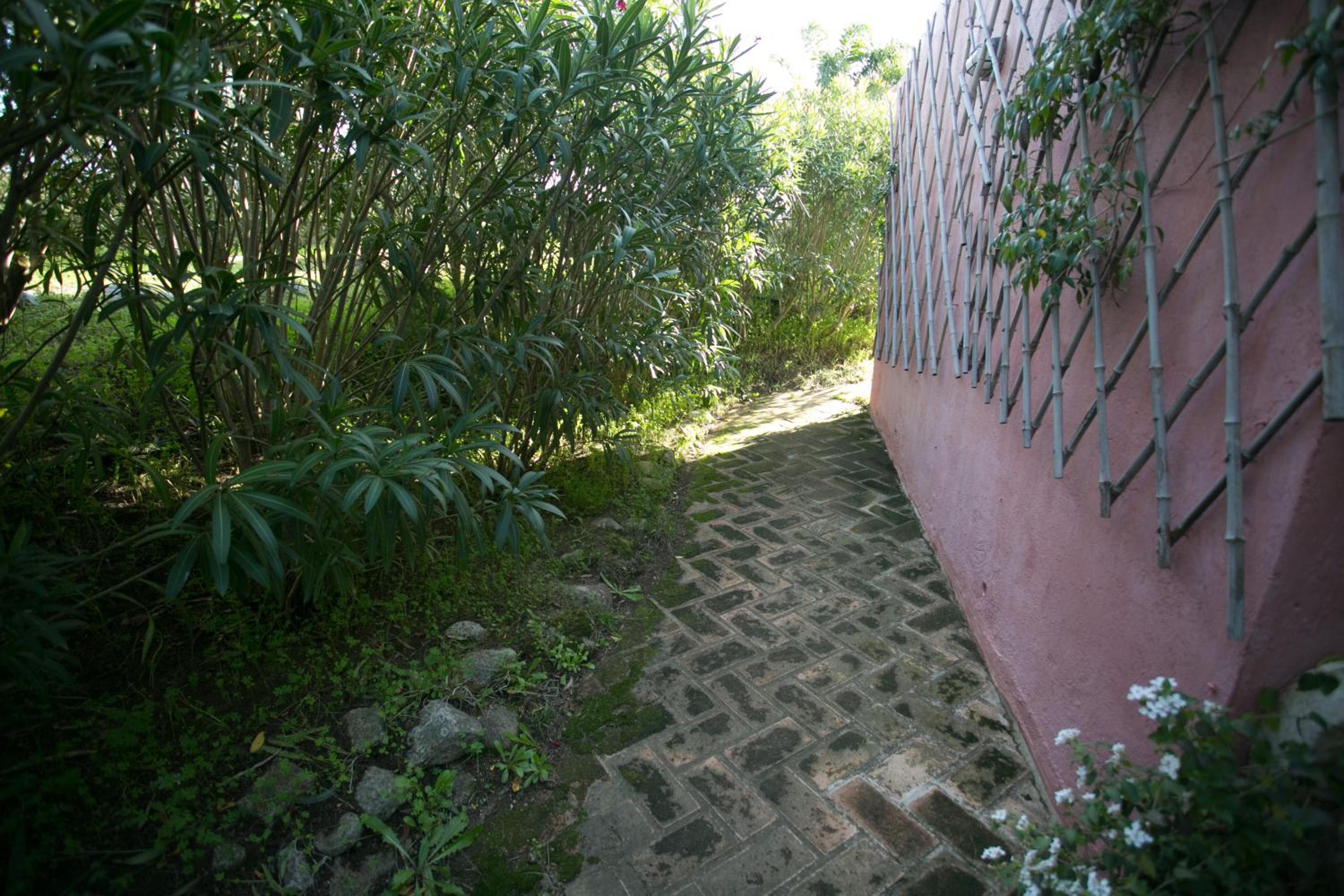 Photo 9