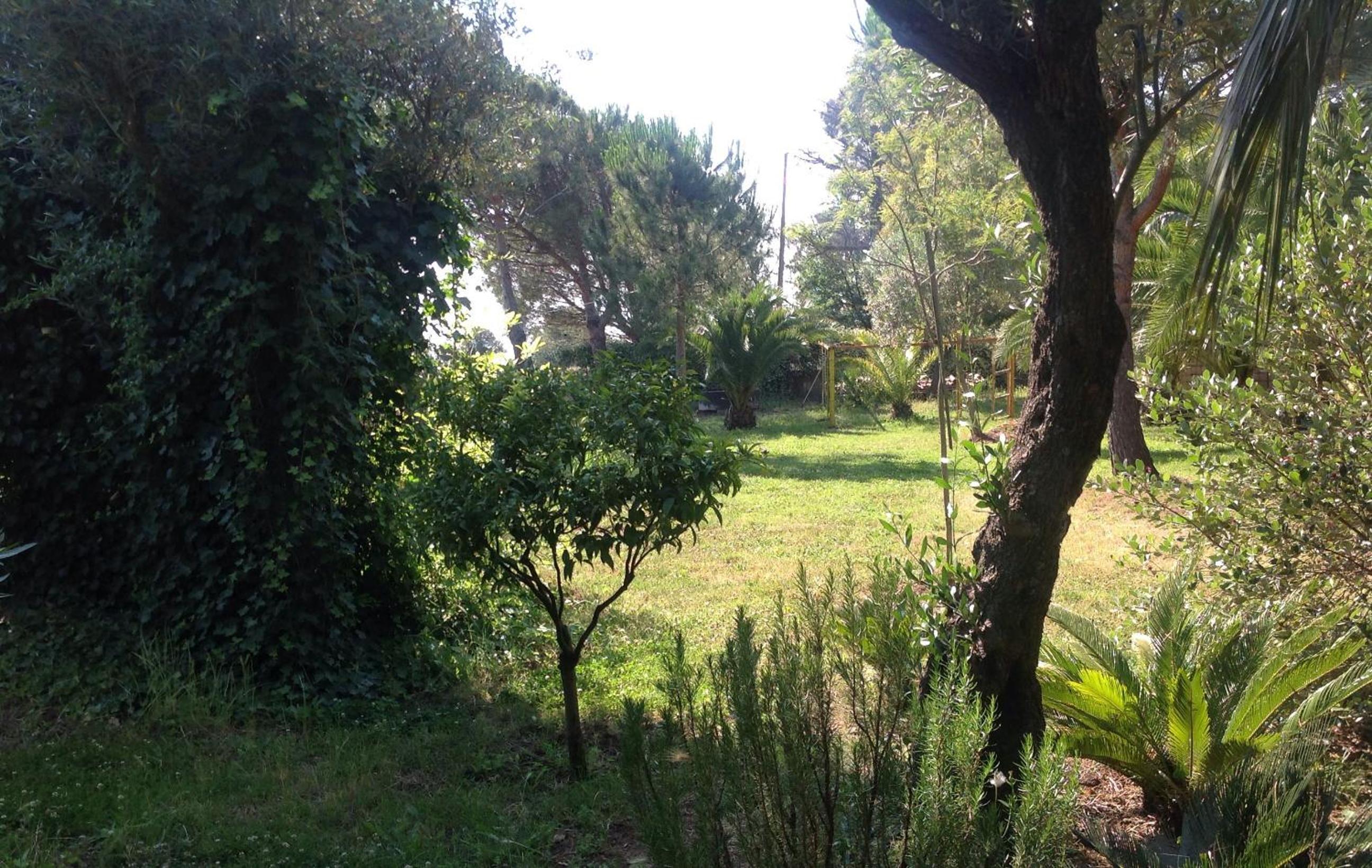 Photo 42