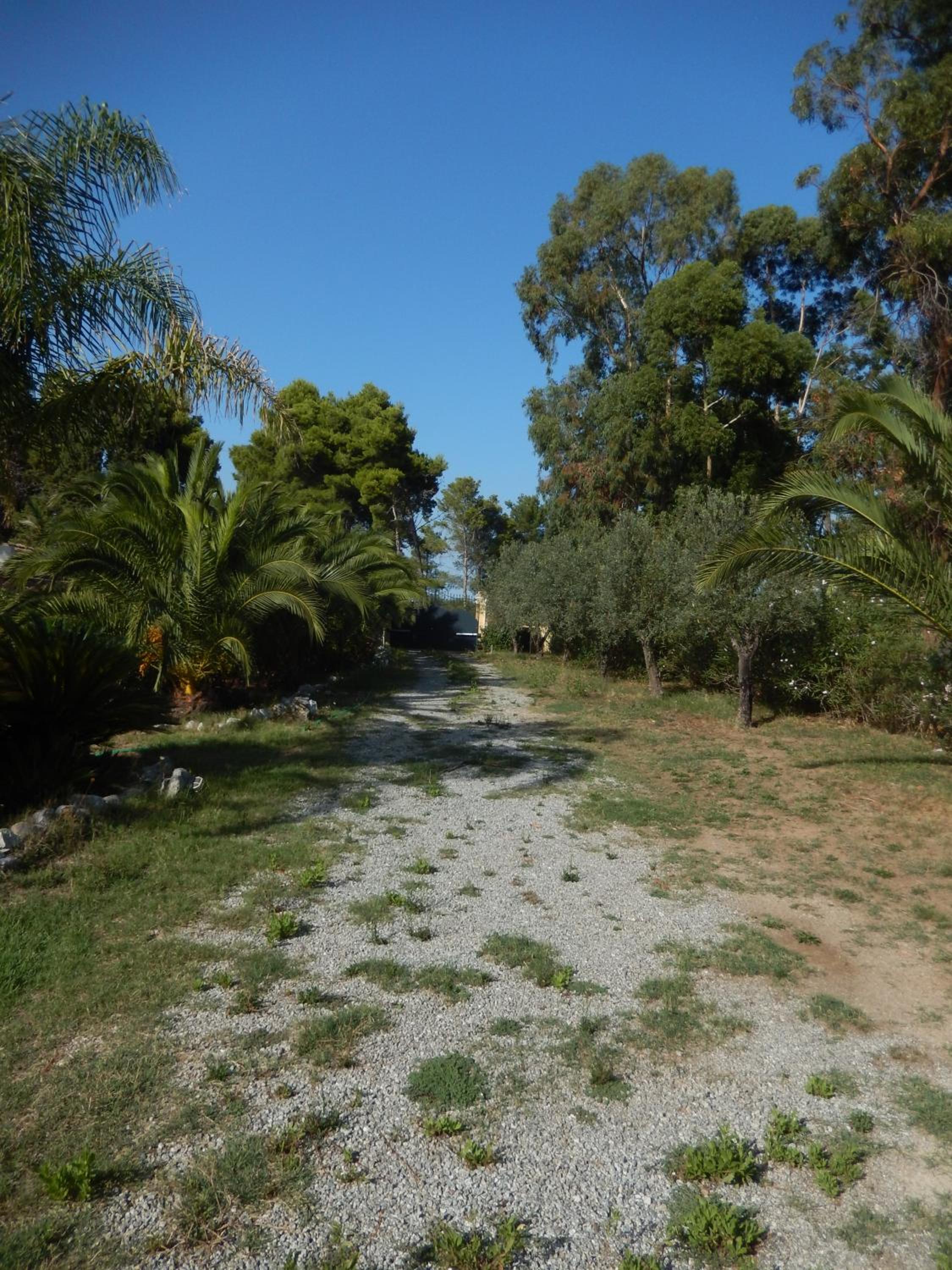 Photo 24