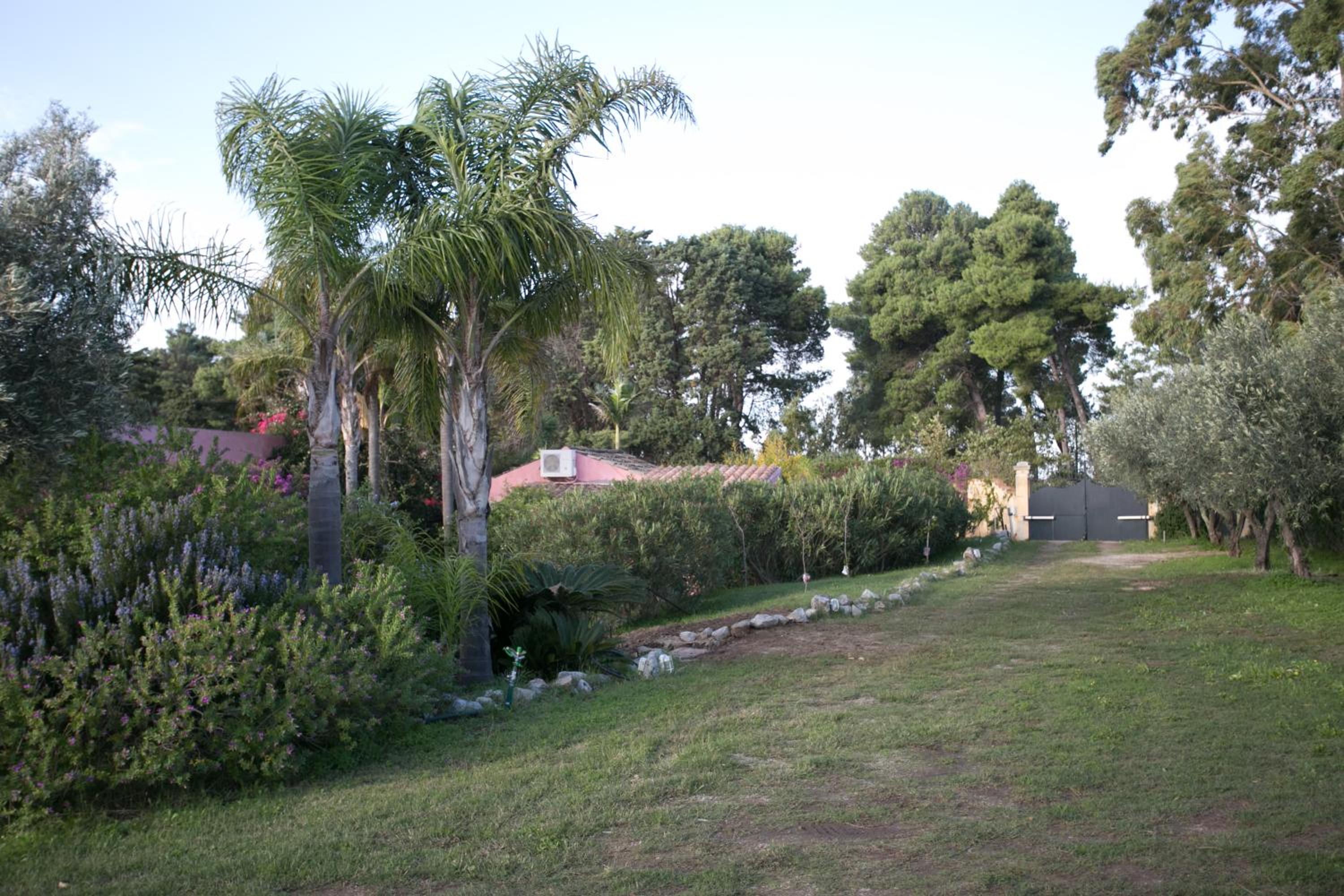 Photo 31