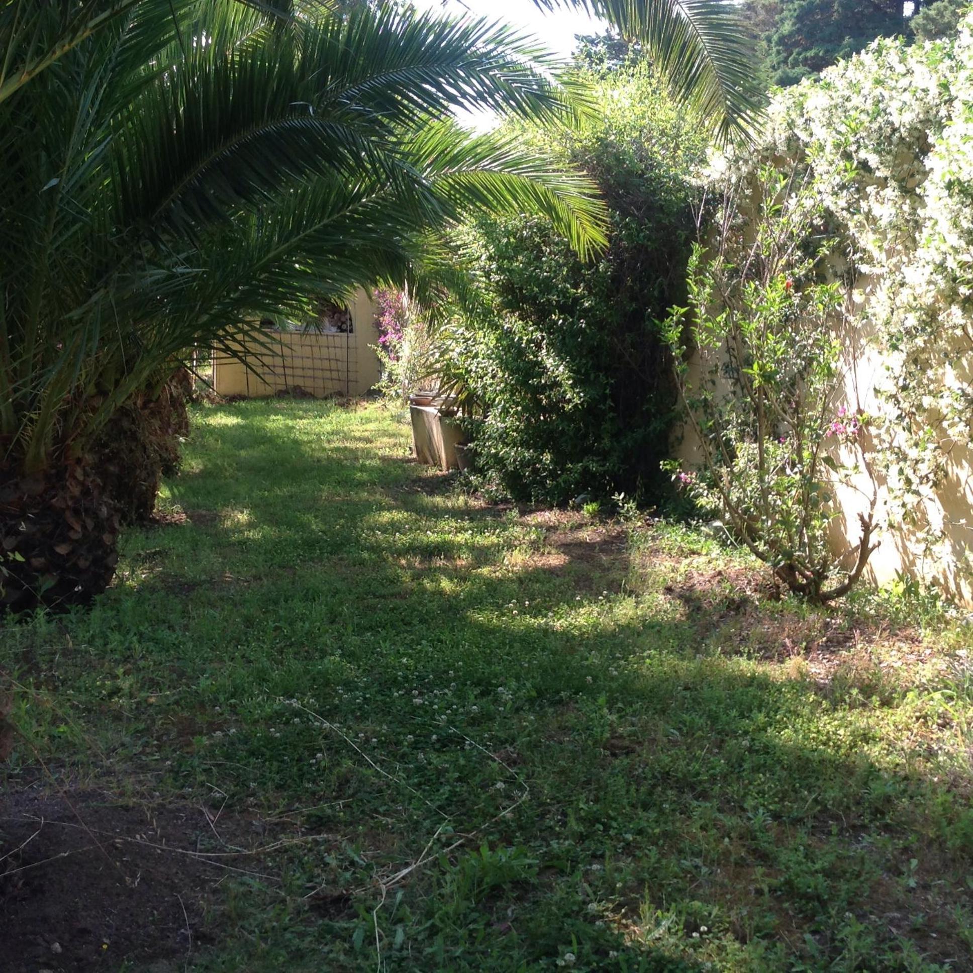 Photo 38