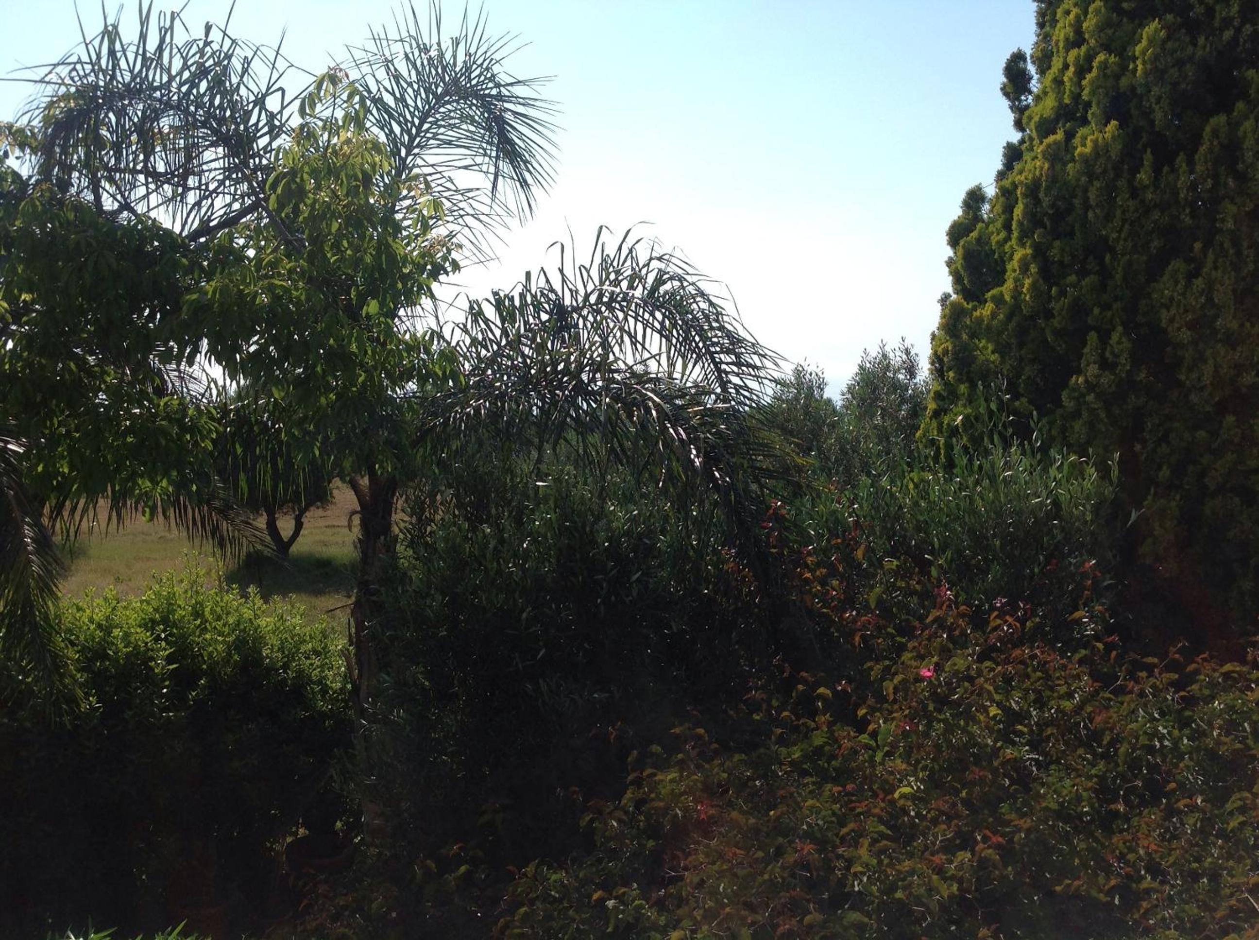 Photo 40