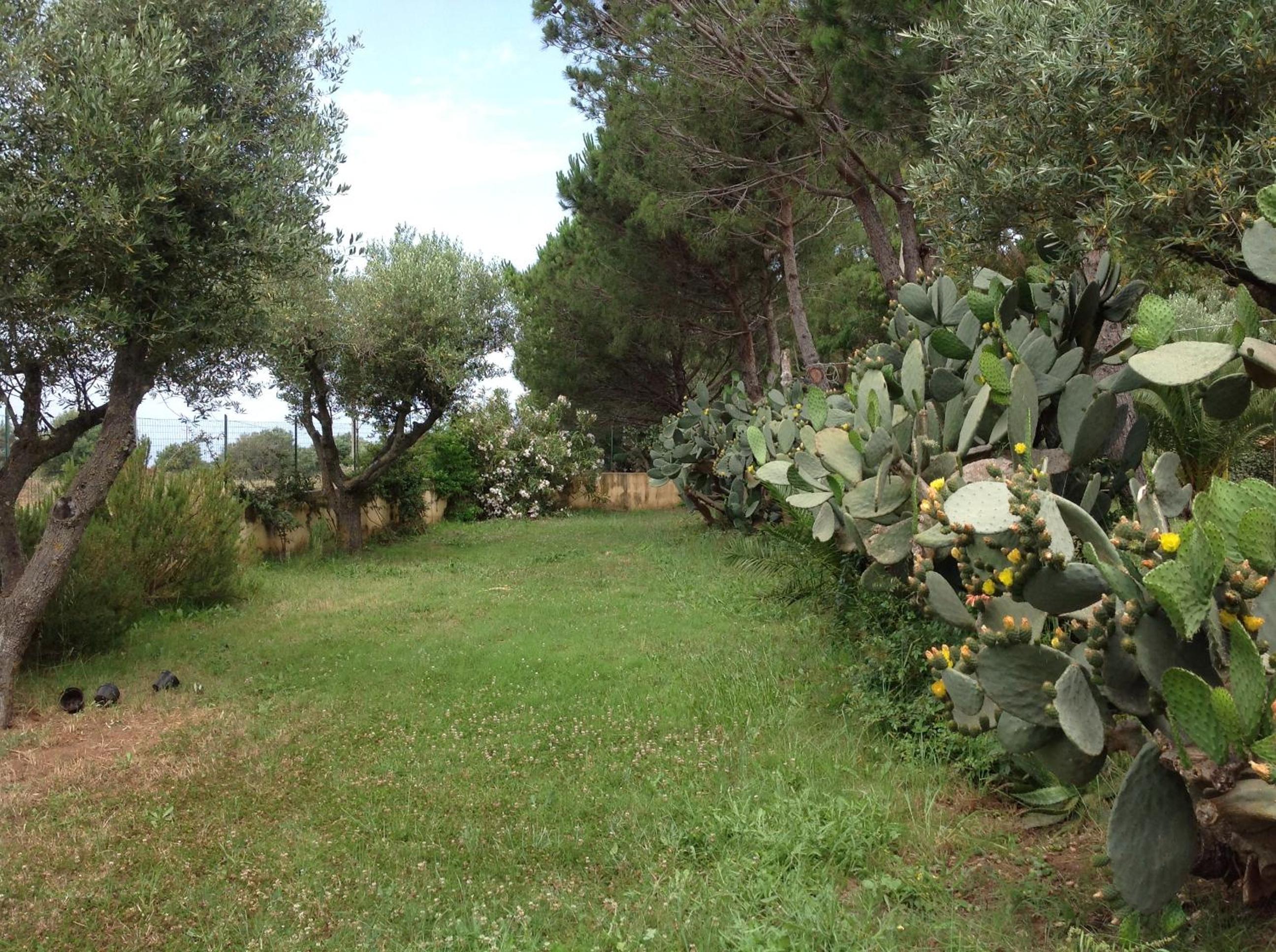 Photo 41