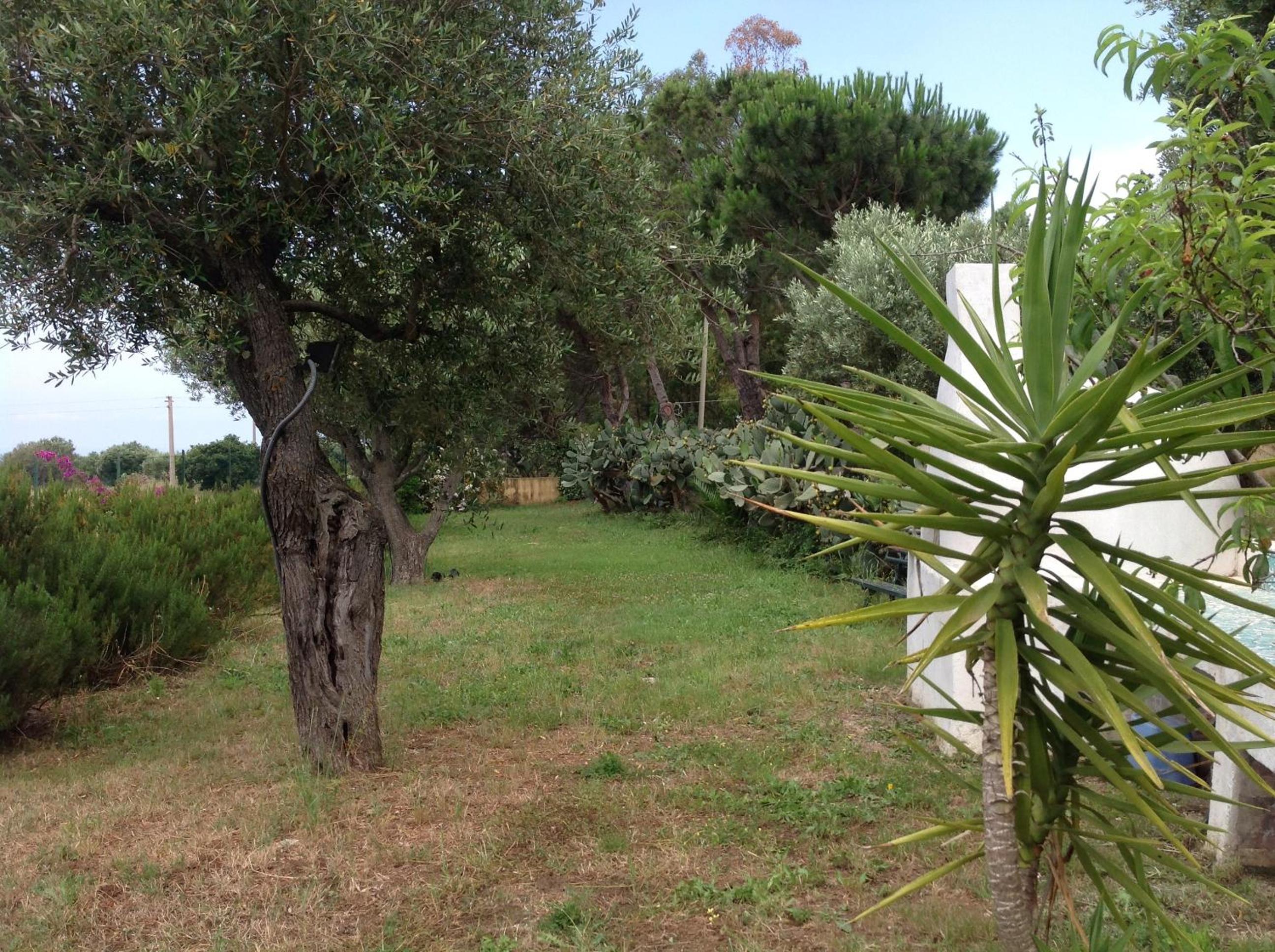 Photo 43