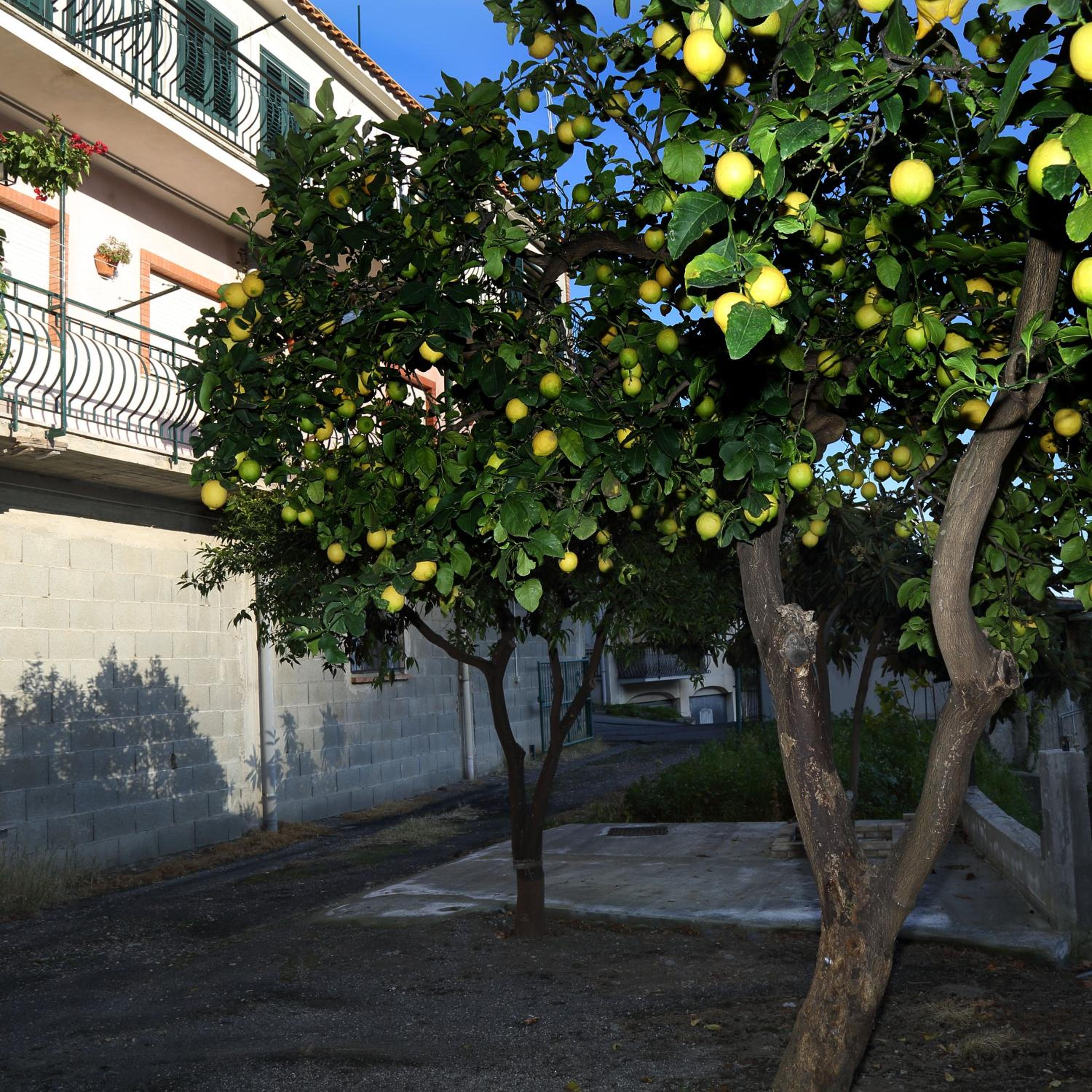 La Perla en Taormina