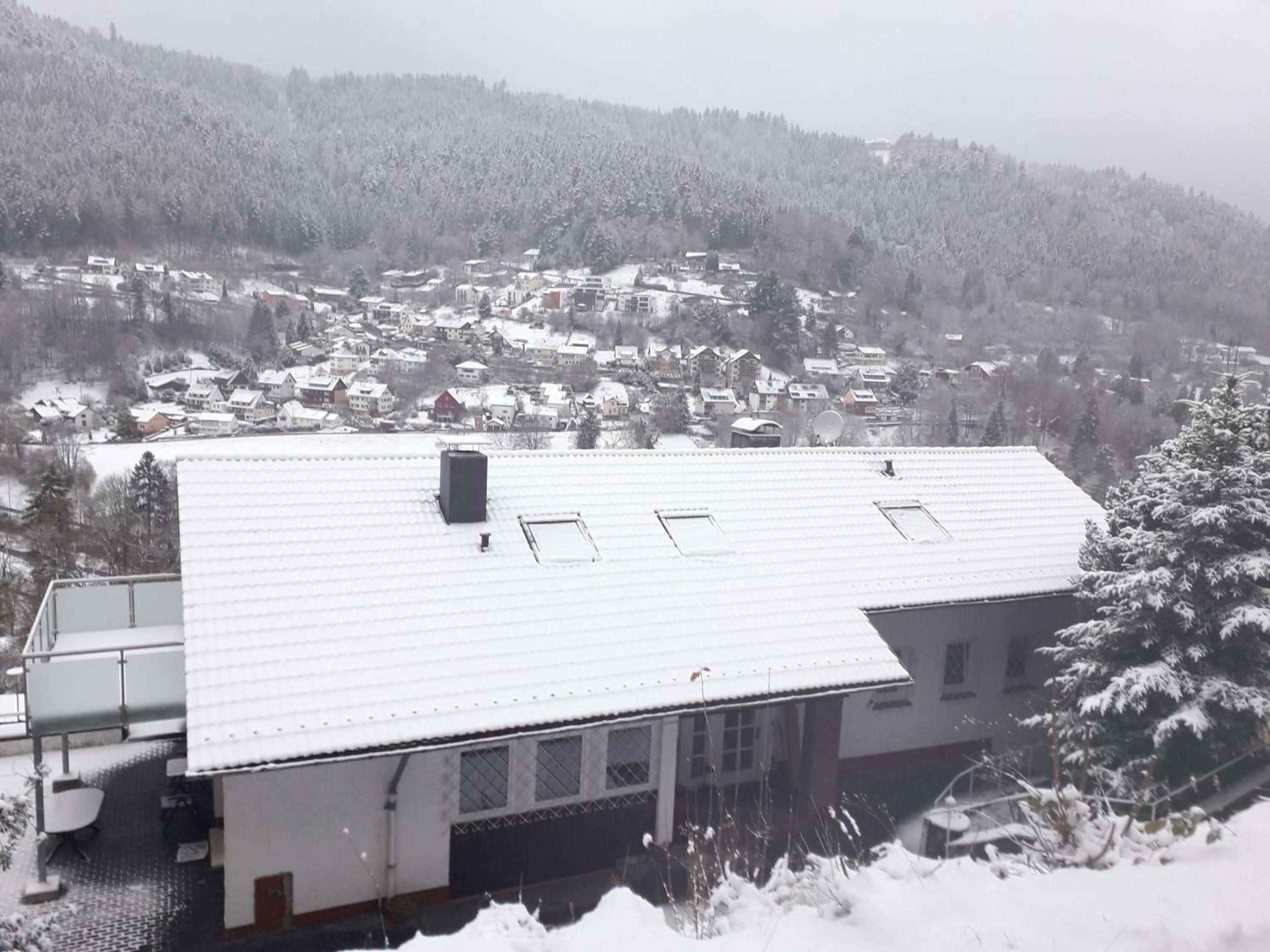 Ferienwohnung in ruhiger Waldrandlage view 2
