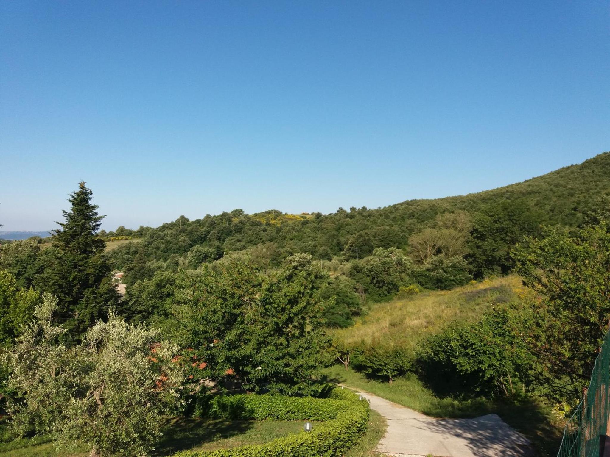Photo 16