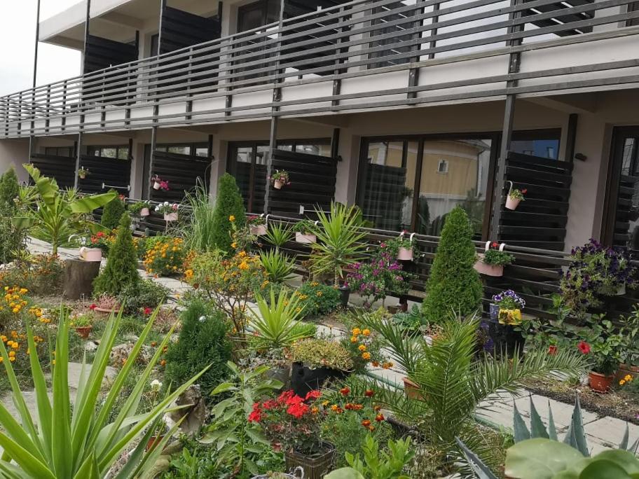 Hotel Dream Resort (Adults only 14+) - Image 1