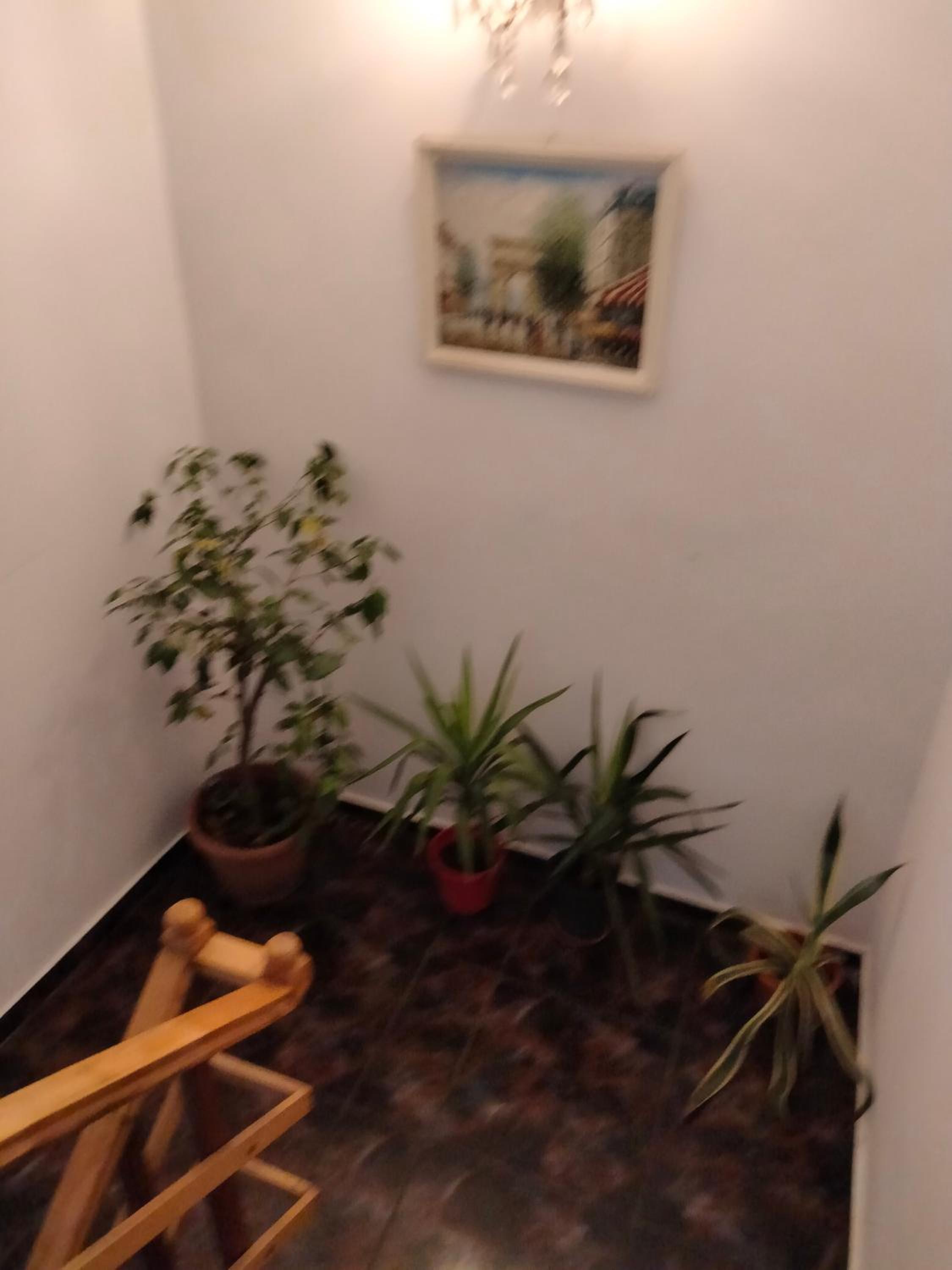 Apartament cu 2 dormitoare și terasa Valentin, Iulius Mall view 3
