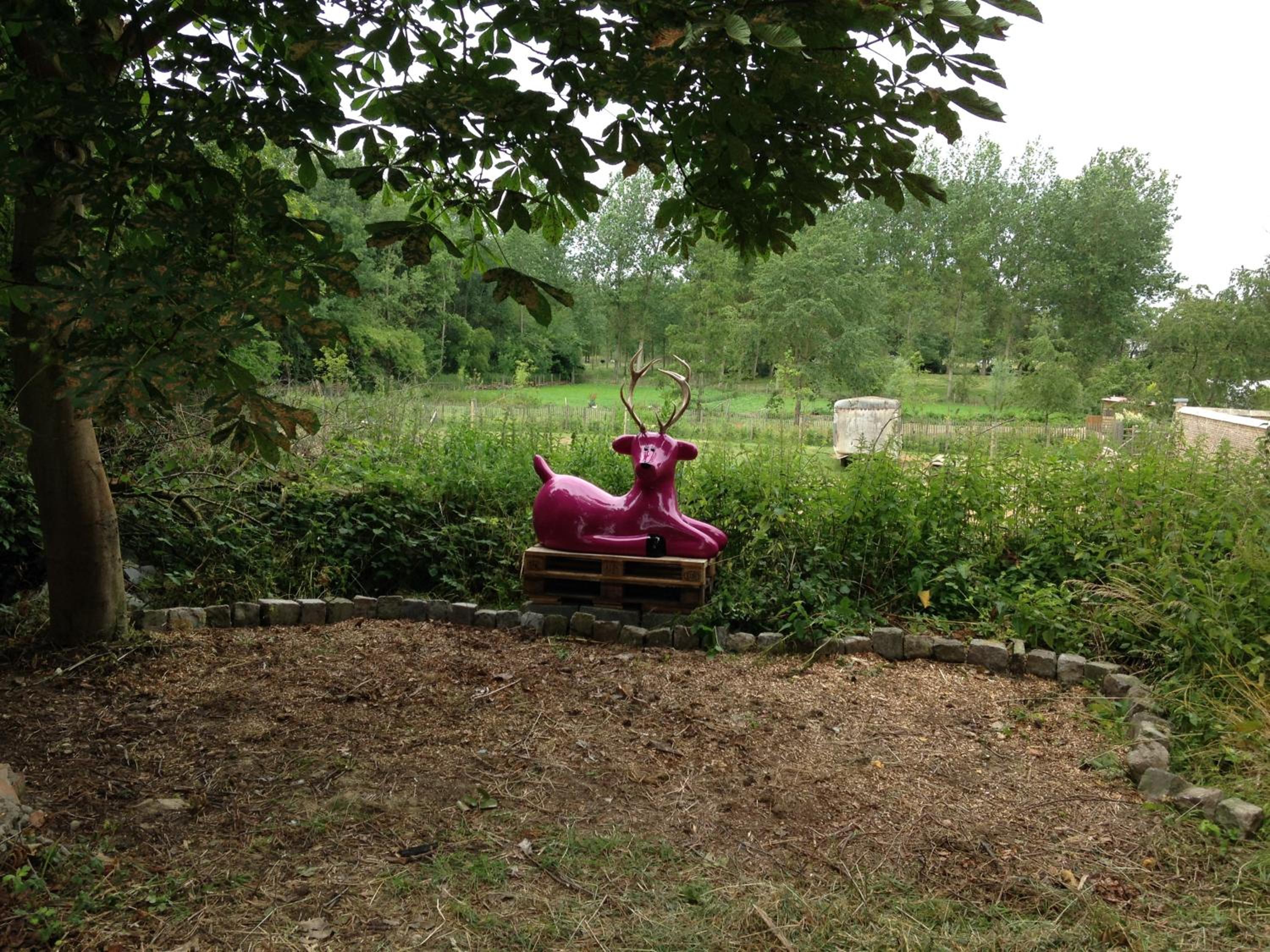 B&B De Henehoeve
