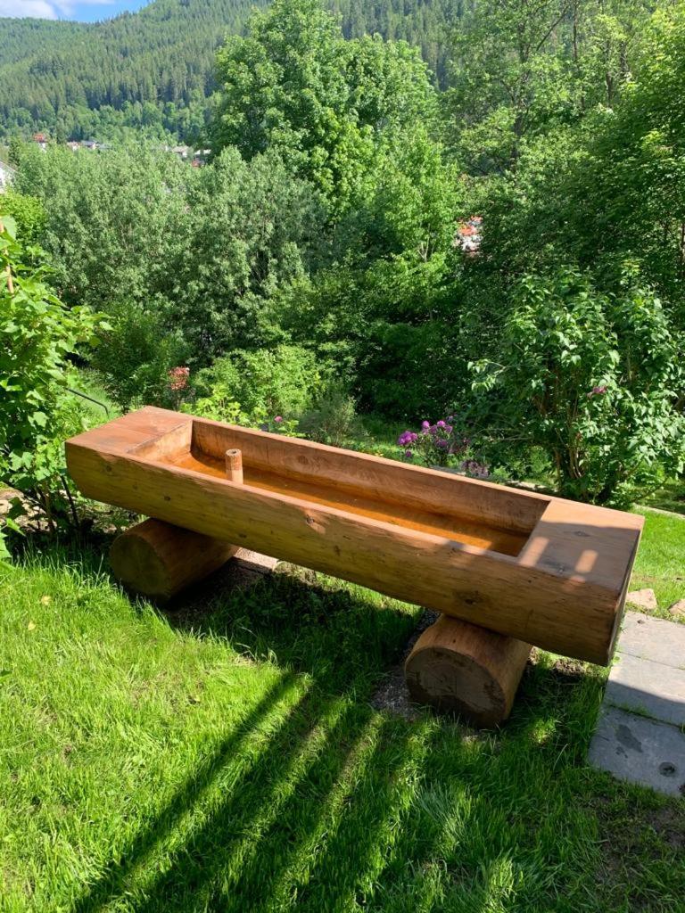 Photo 58