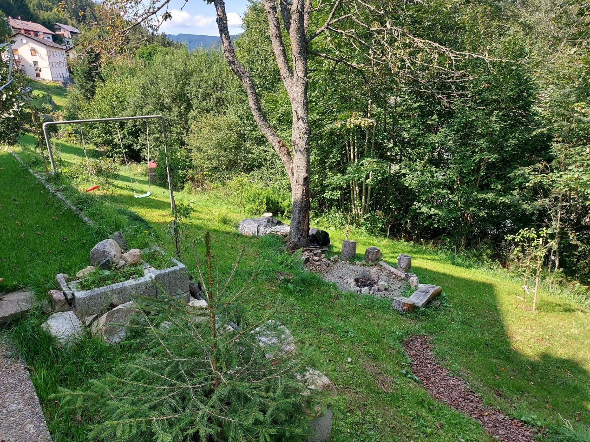 Photo 46