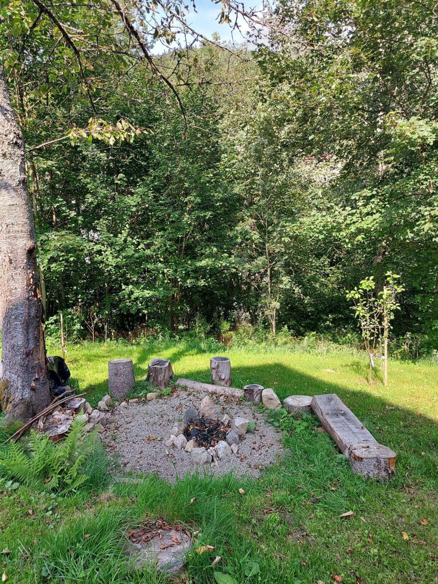 Photo 47