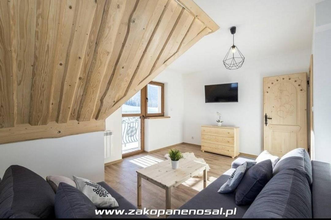 Apartament Nosal view 4
