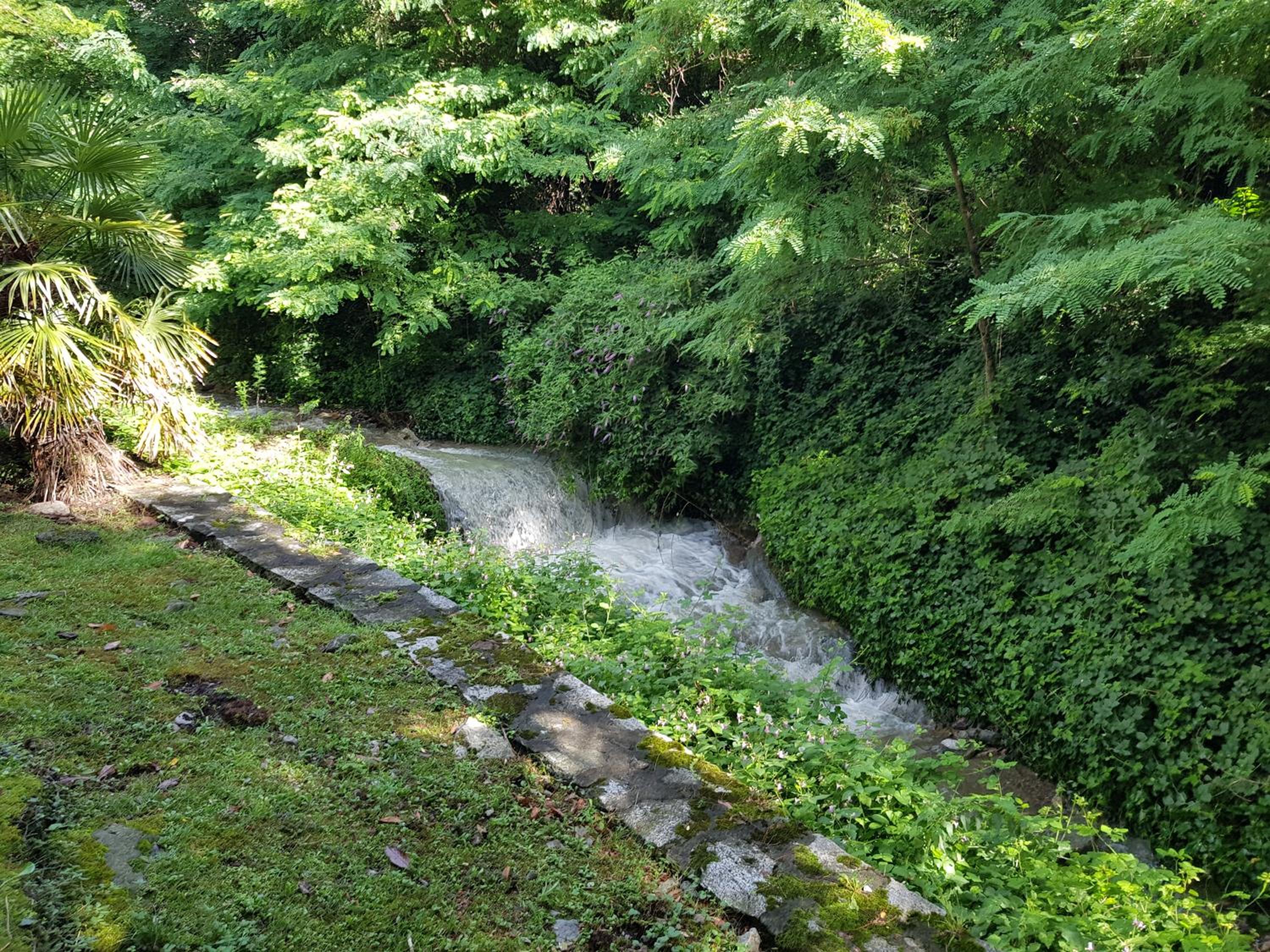 Photo 41