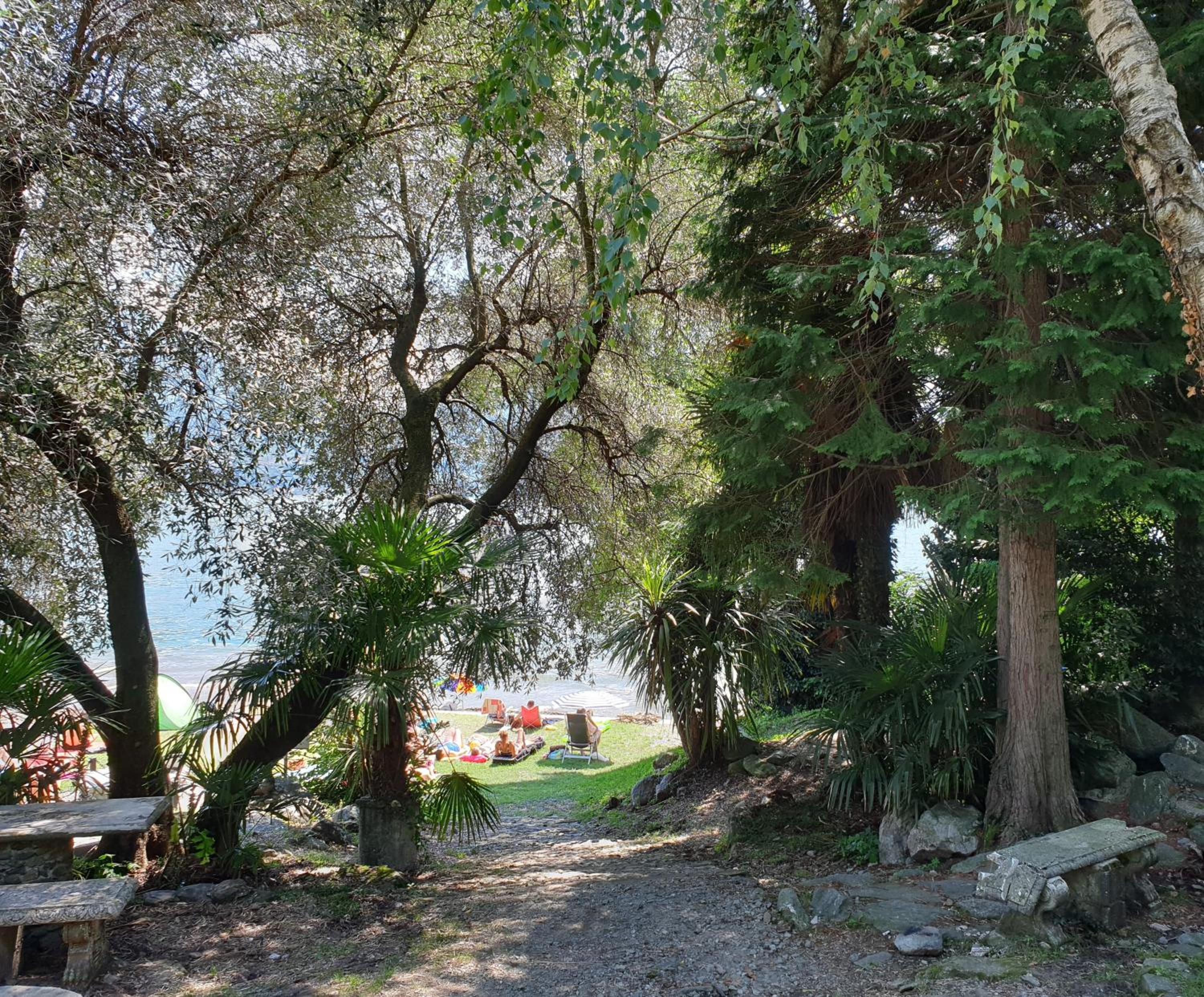 Photo 45