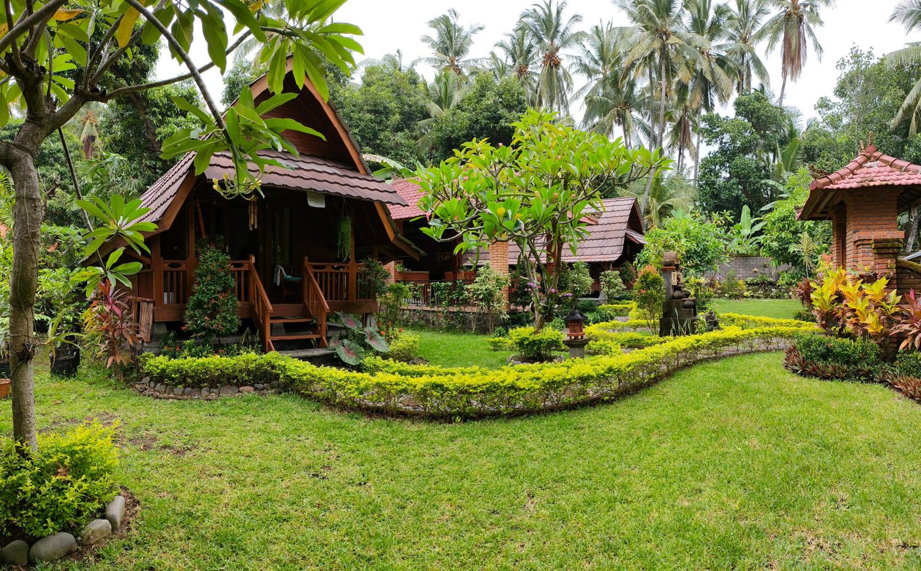 The Lumbung Tejakula view 5
