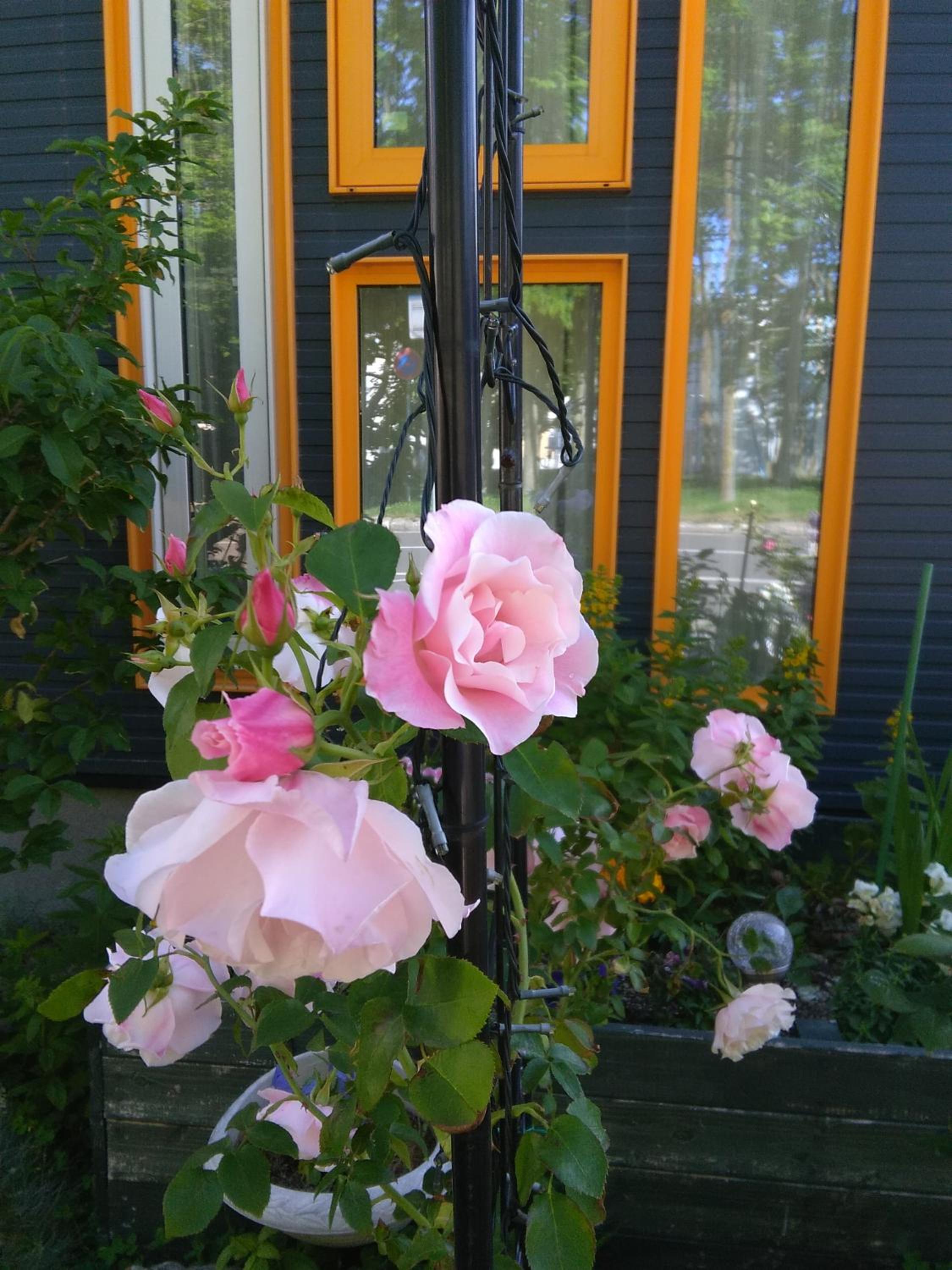 Guest House Annabel view 2