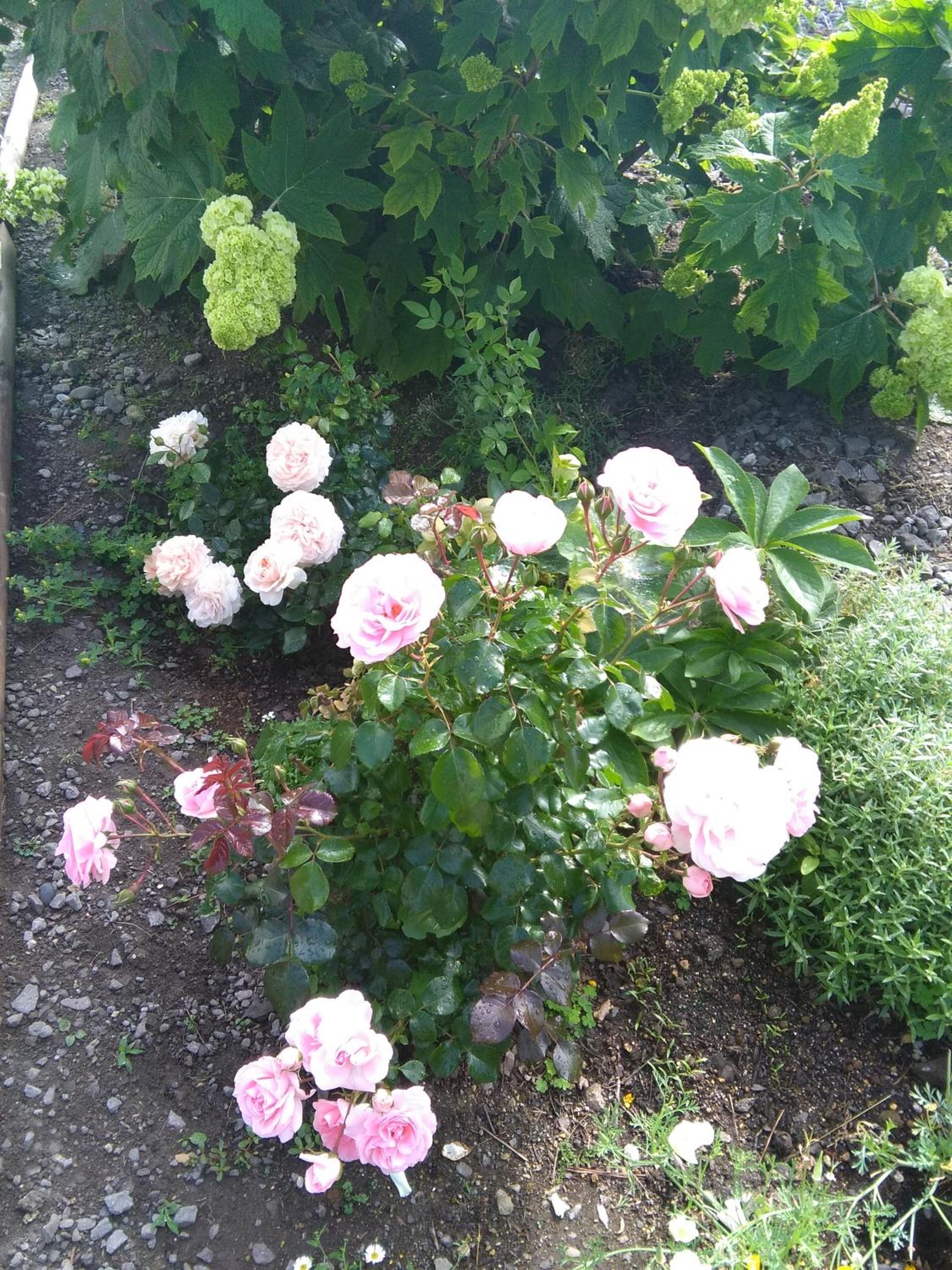 Photo 47