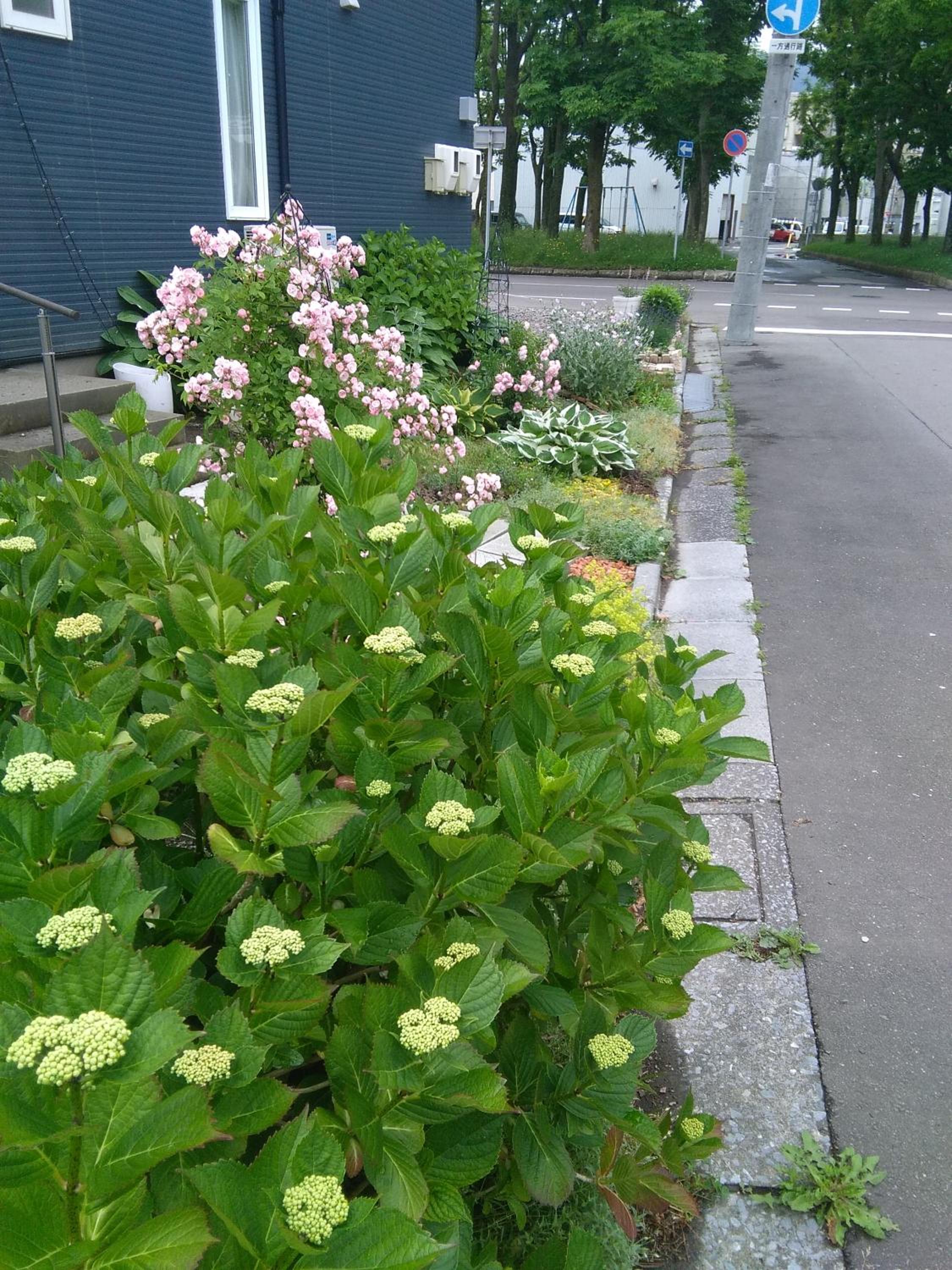 Photo 49