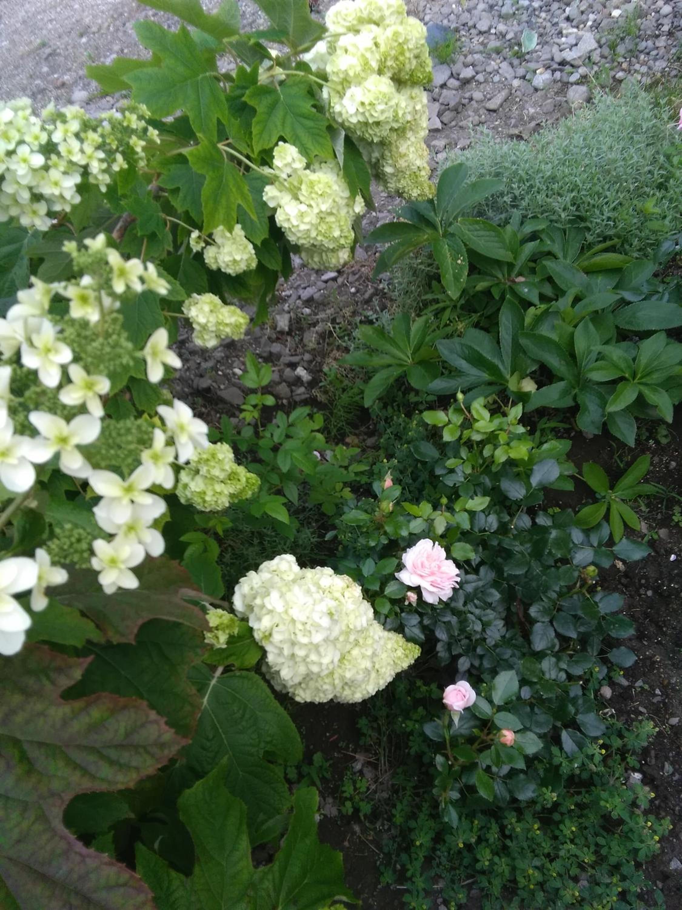 Photo 51