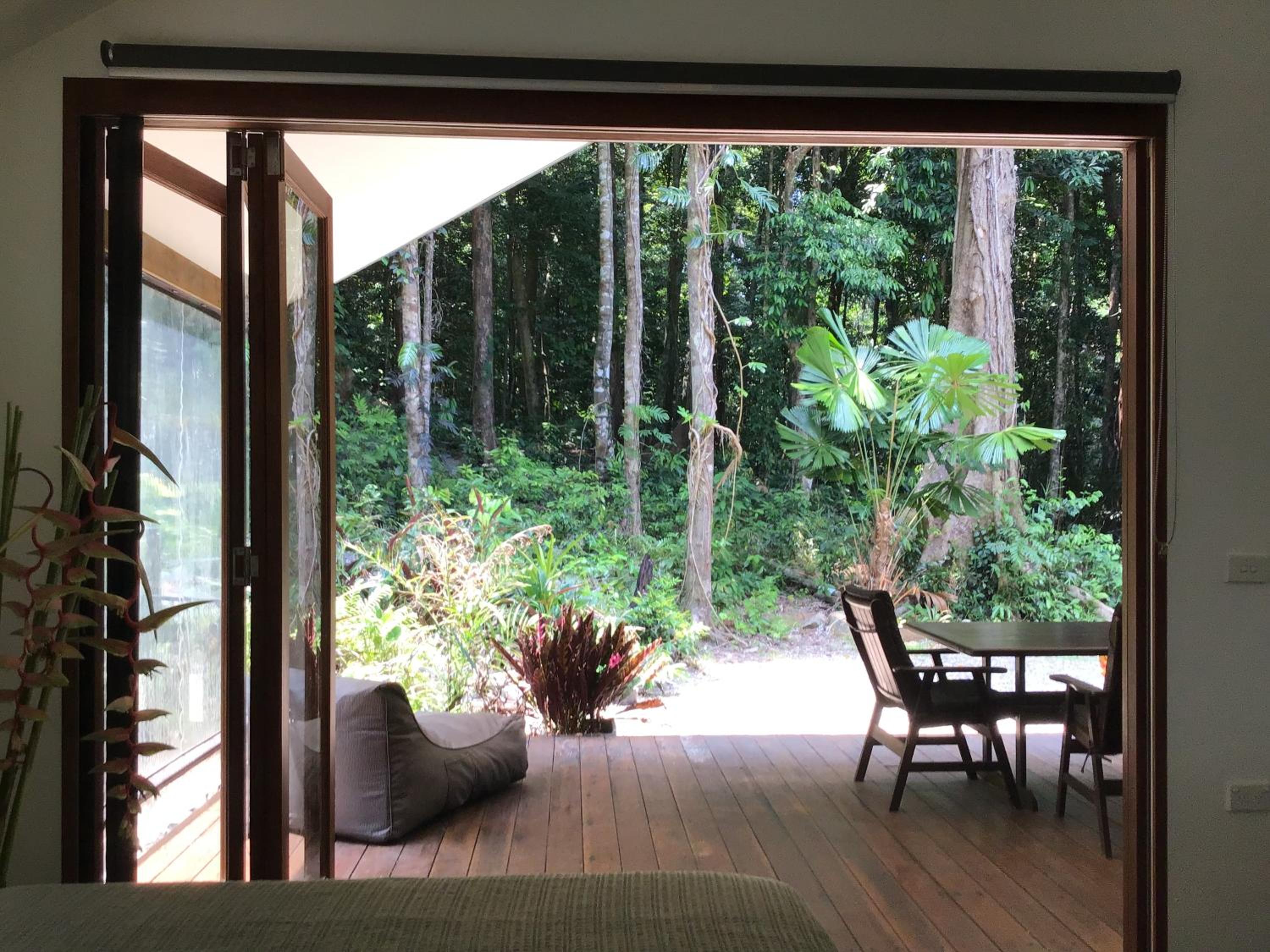Forest views