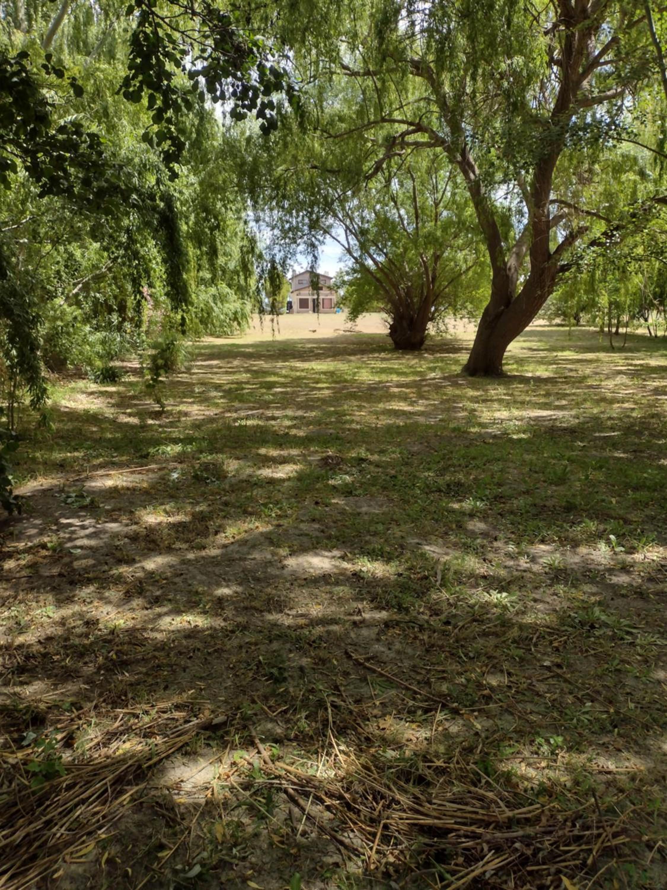 El jardín de los presentes