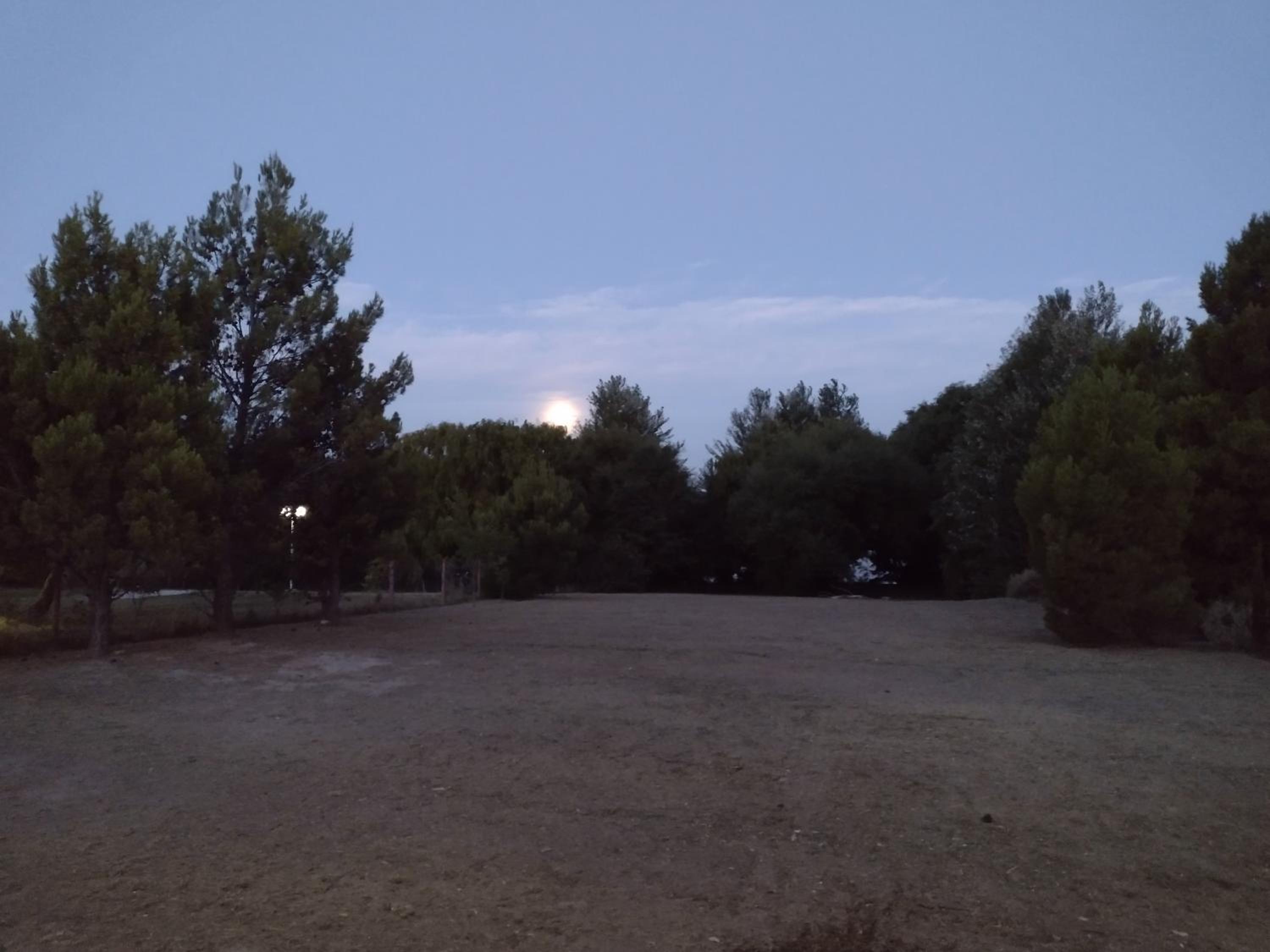 El jardín de los presentes