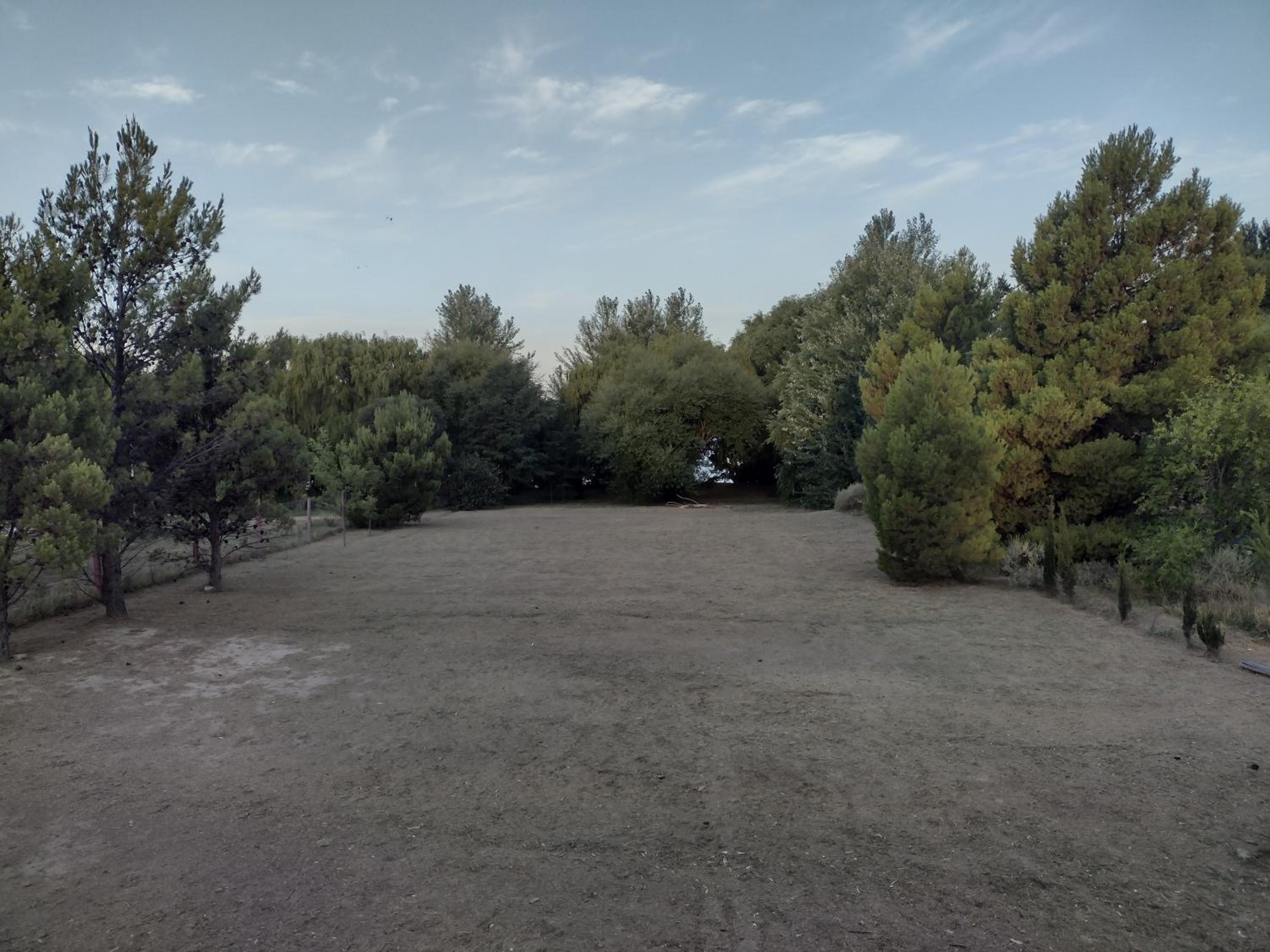 El jardín de los presentes