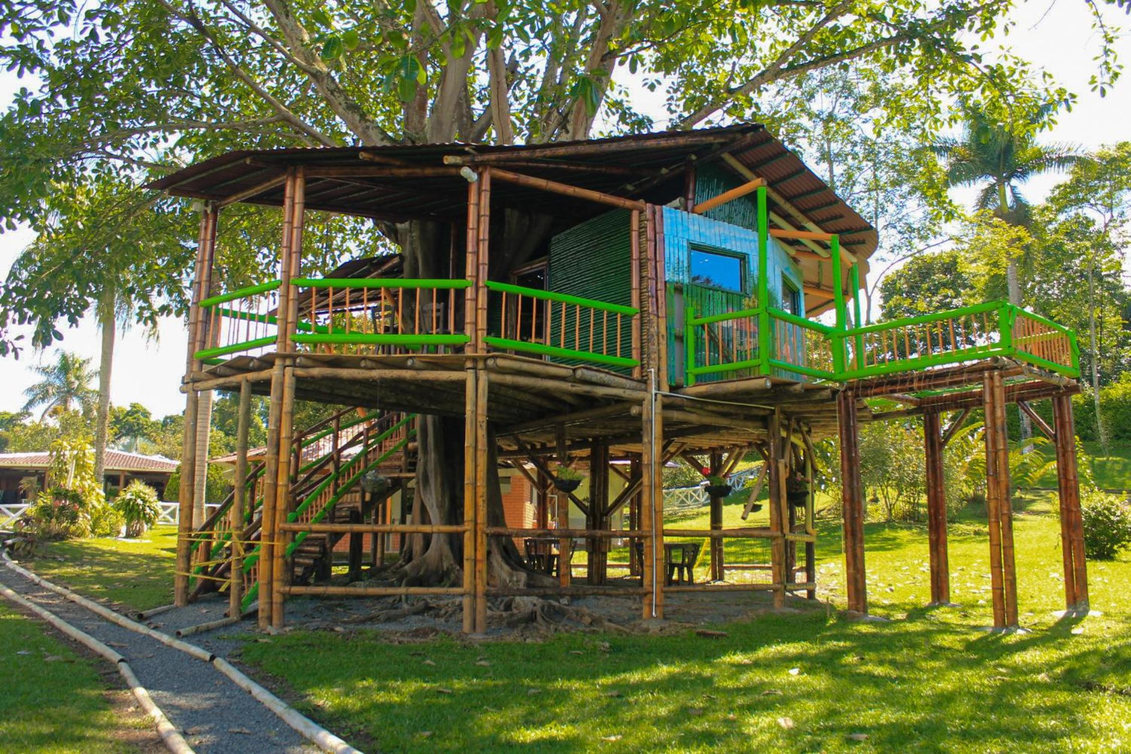Tree House Finca La Floresta Verde view 5