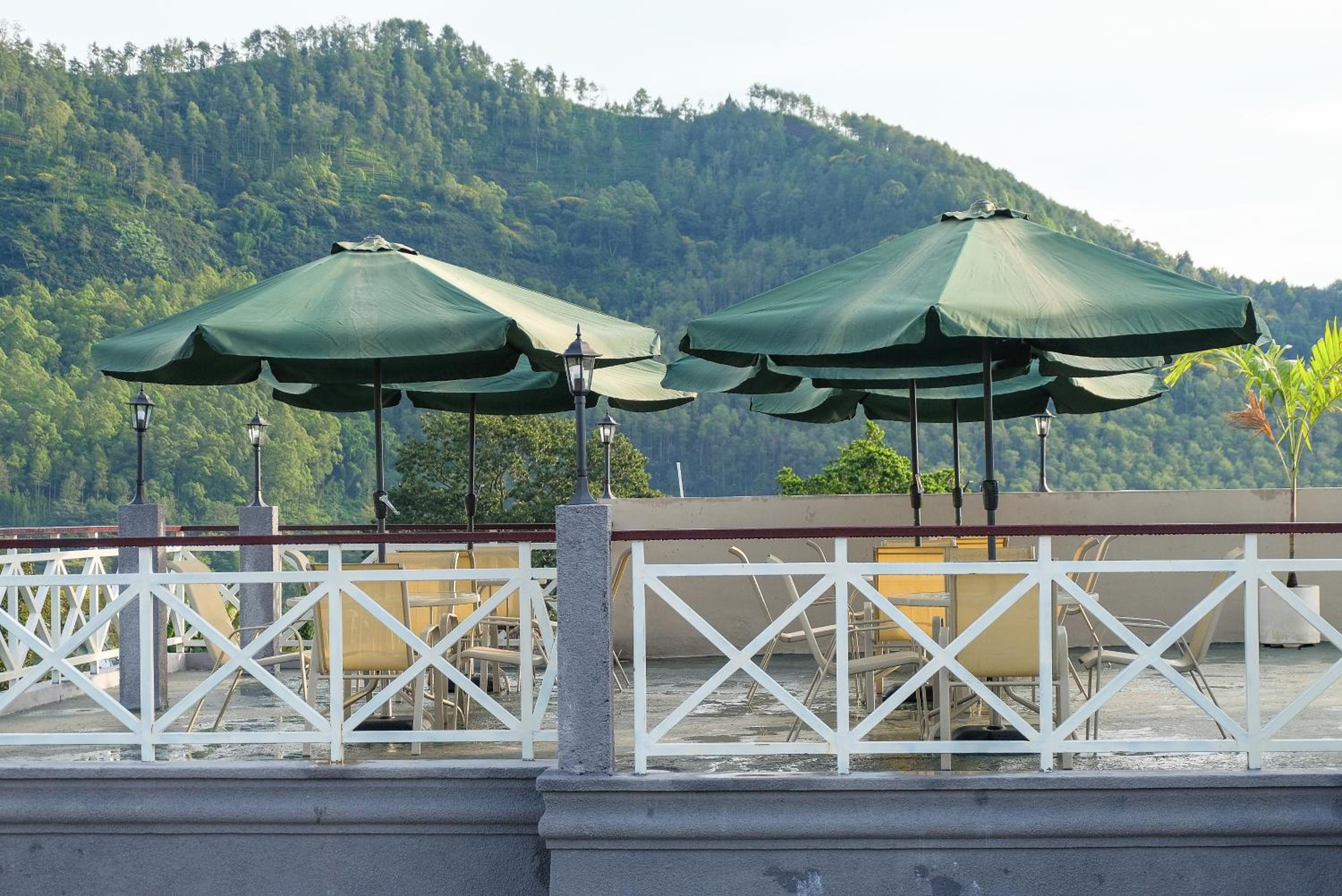 Rosetta Homestay view 4