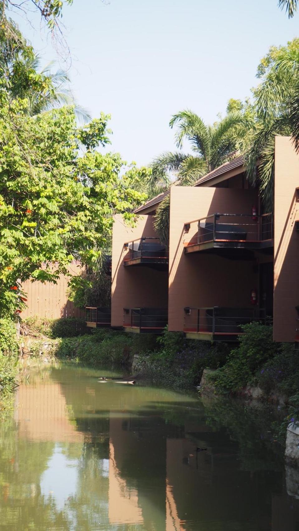 The Grace Amphawa