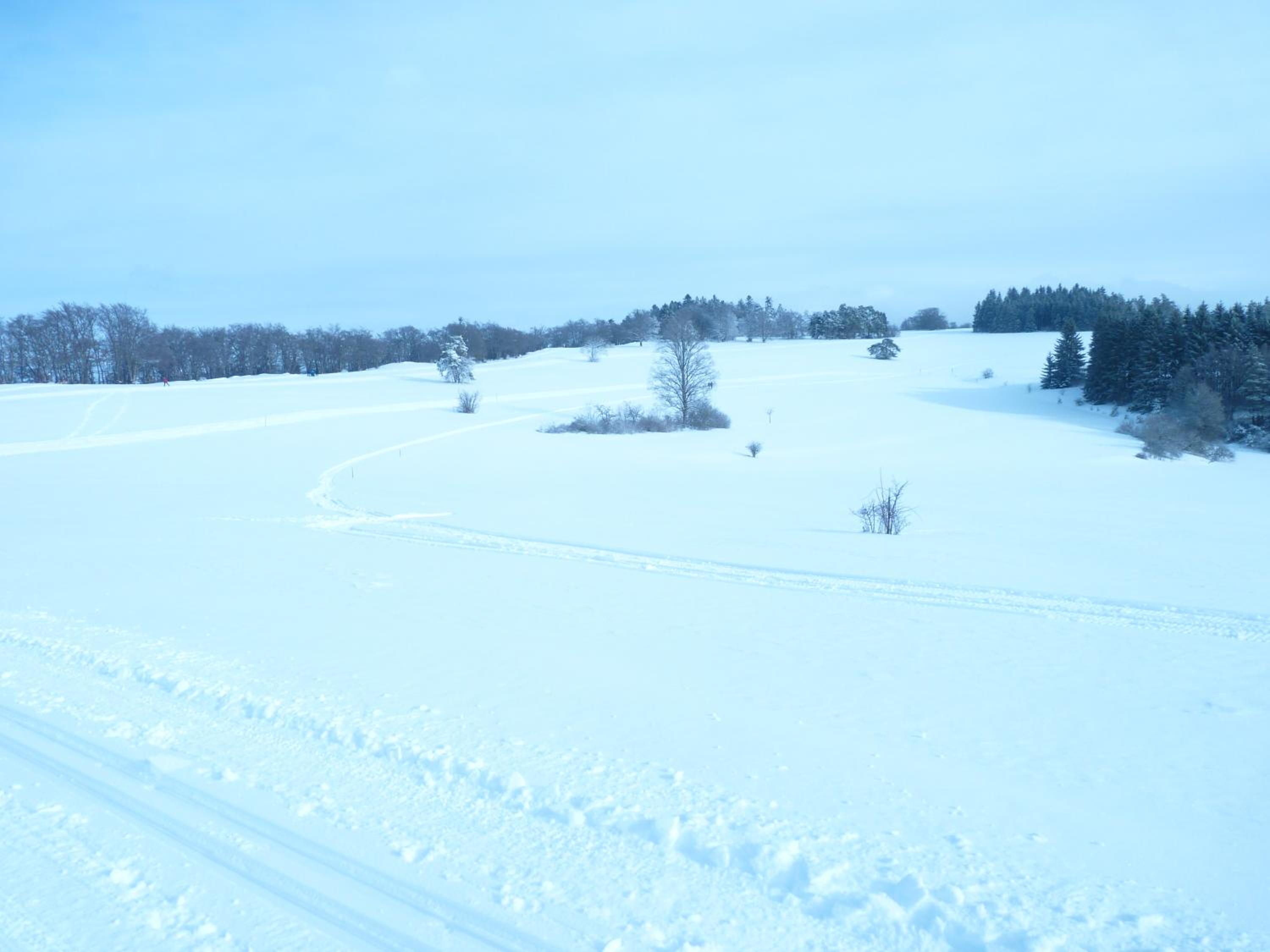 Photo 34