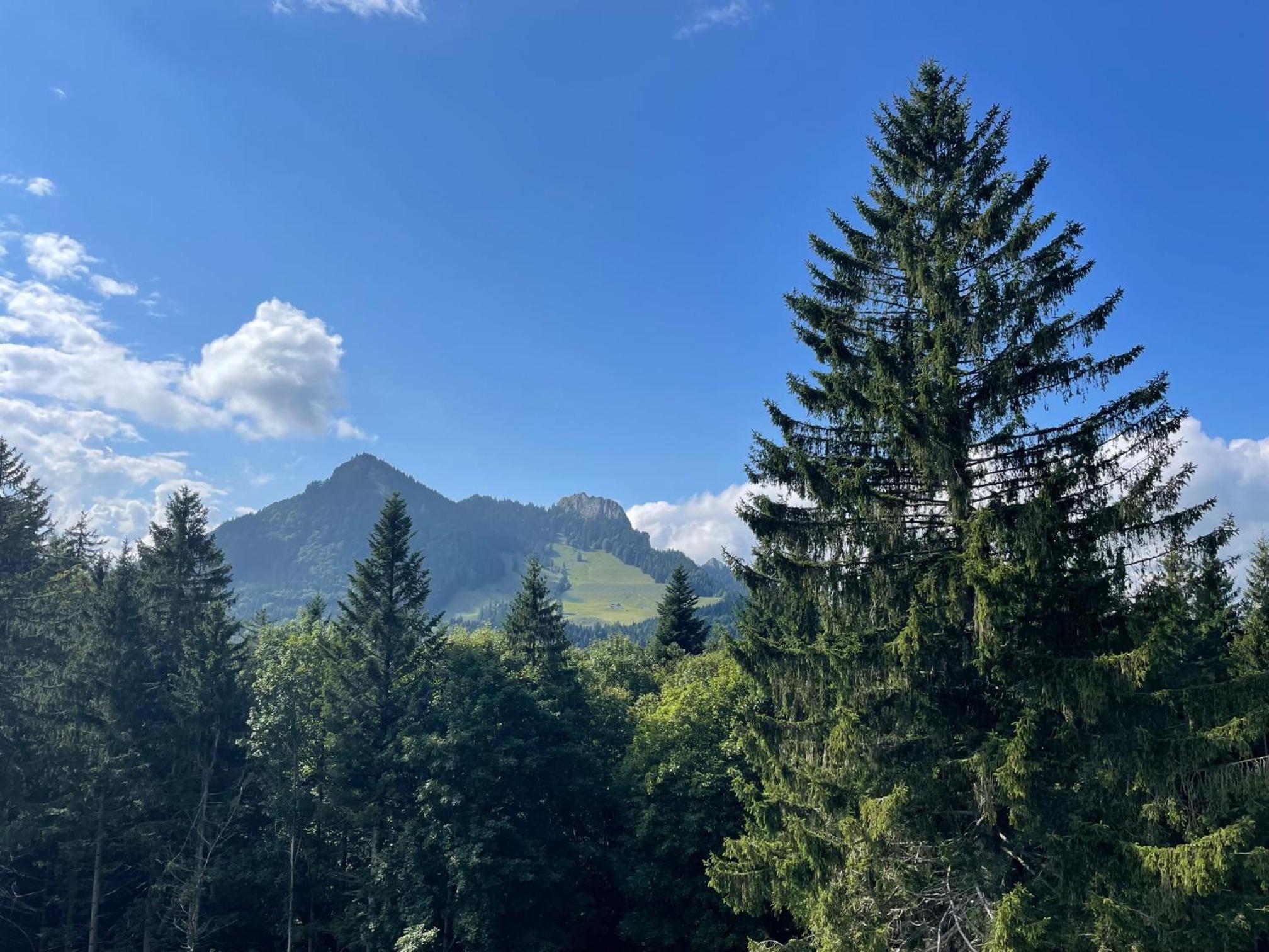Ferienwohnung Florina view 3