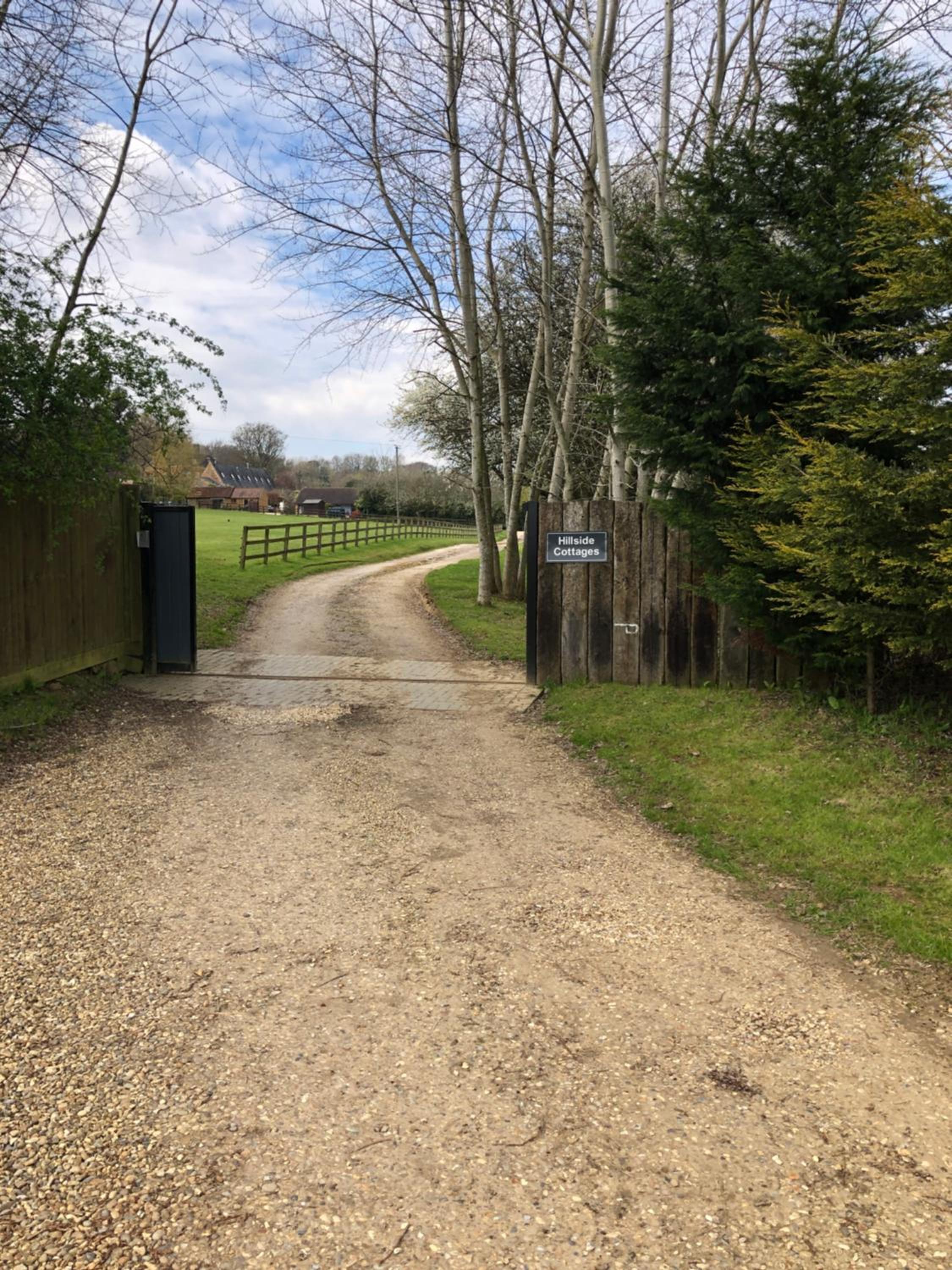 Photo 19