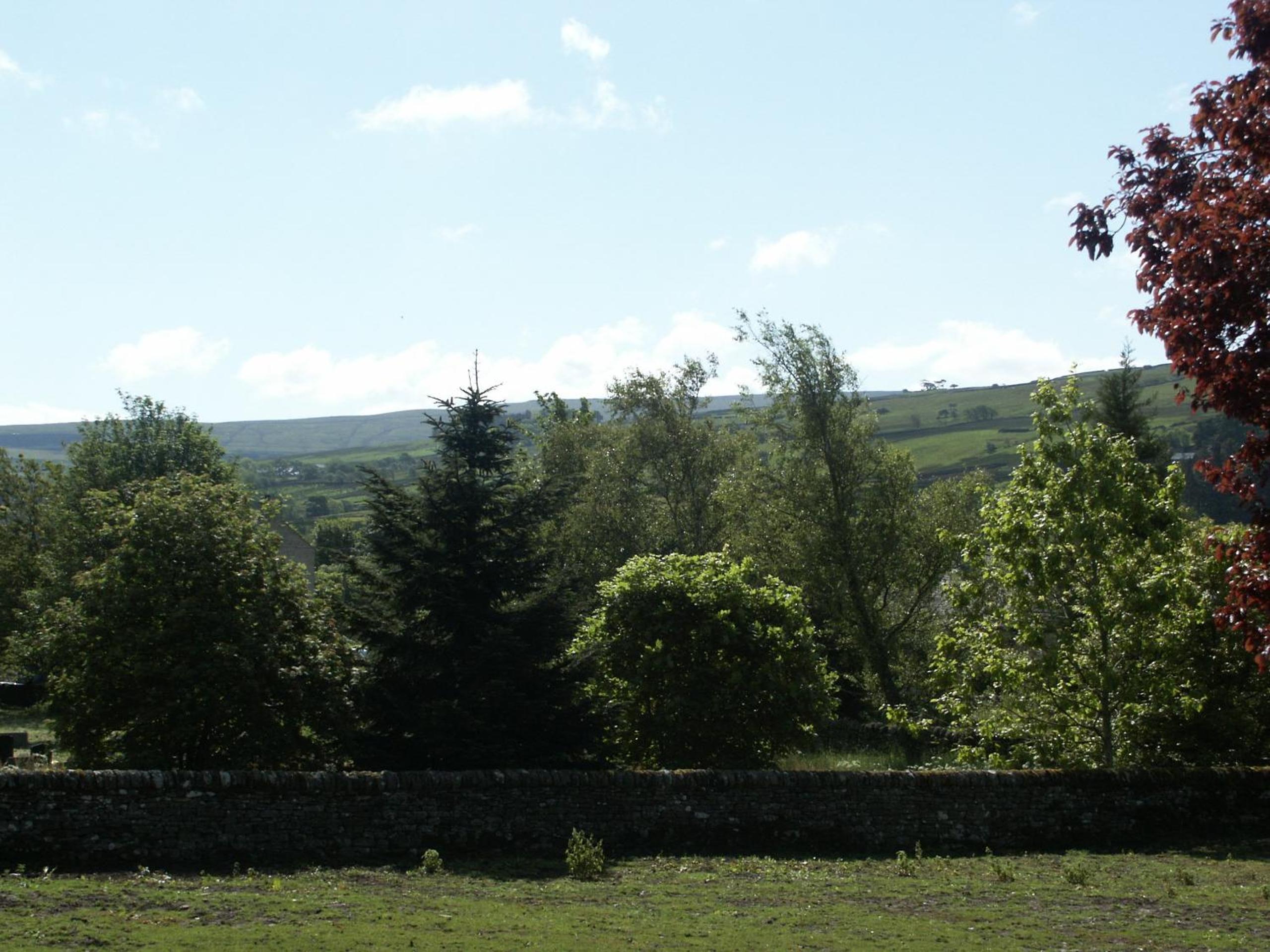Photo 40