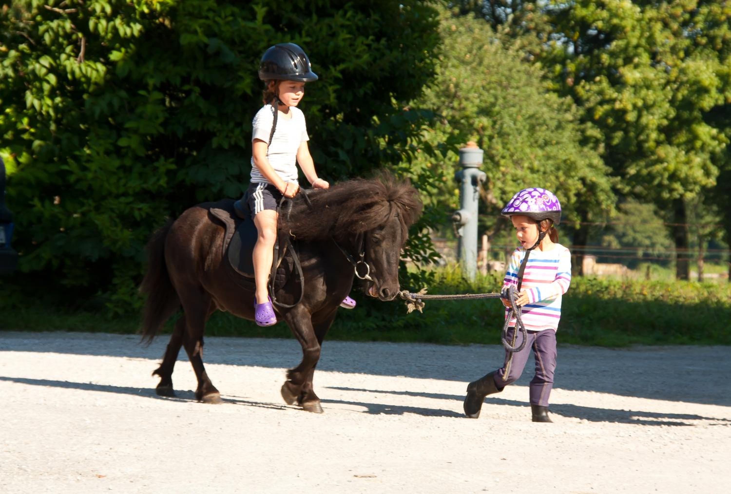 Lamprechthof