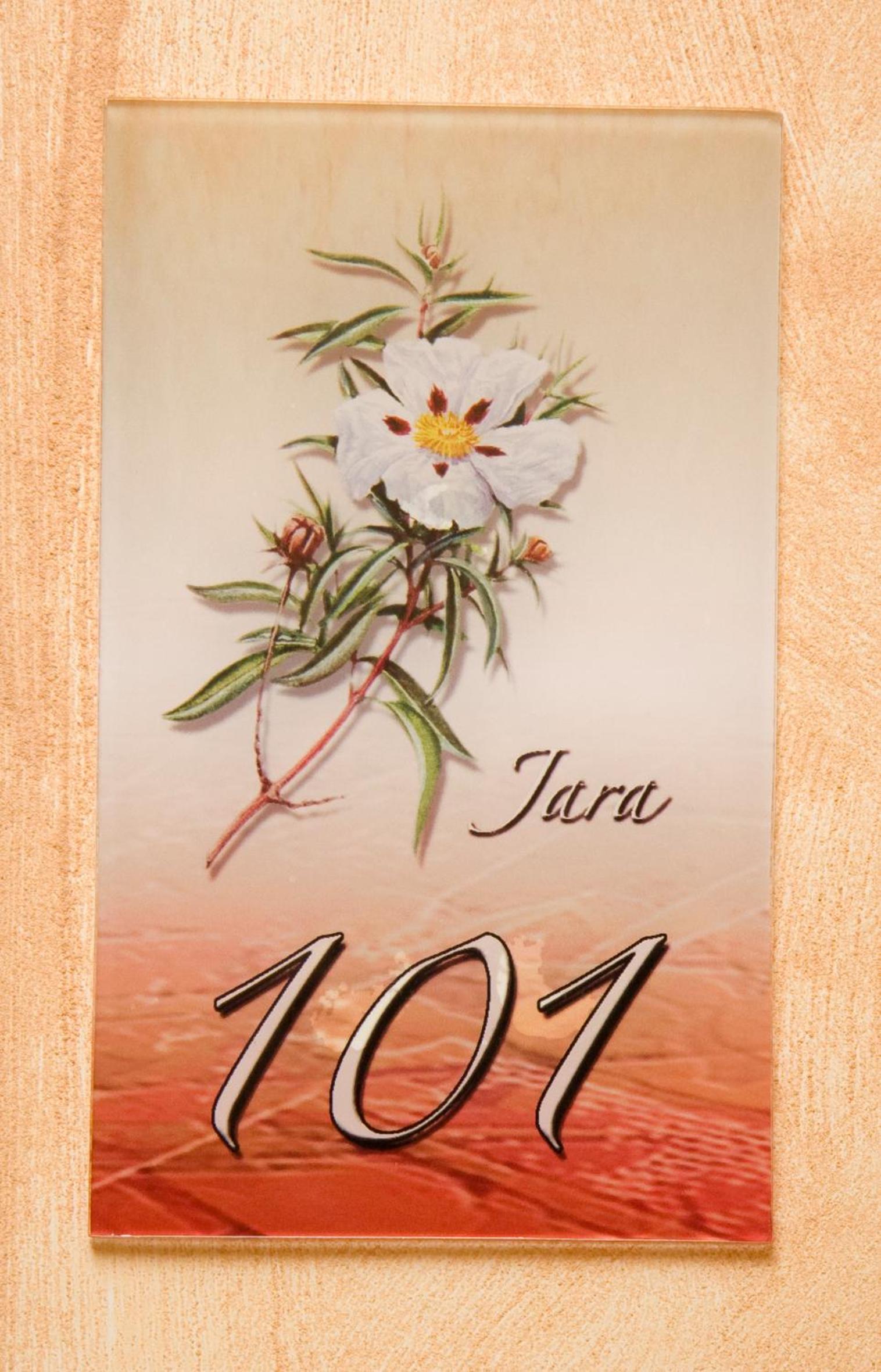 Photo 34