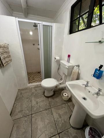 Photo 43