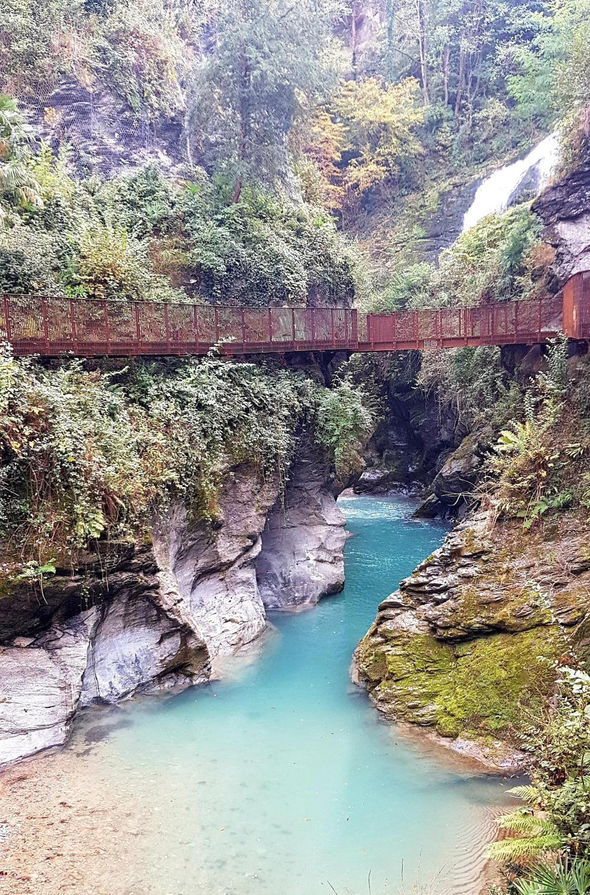 Photo 100