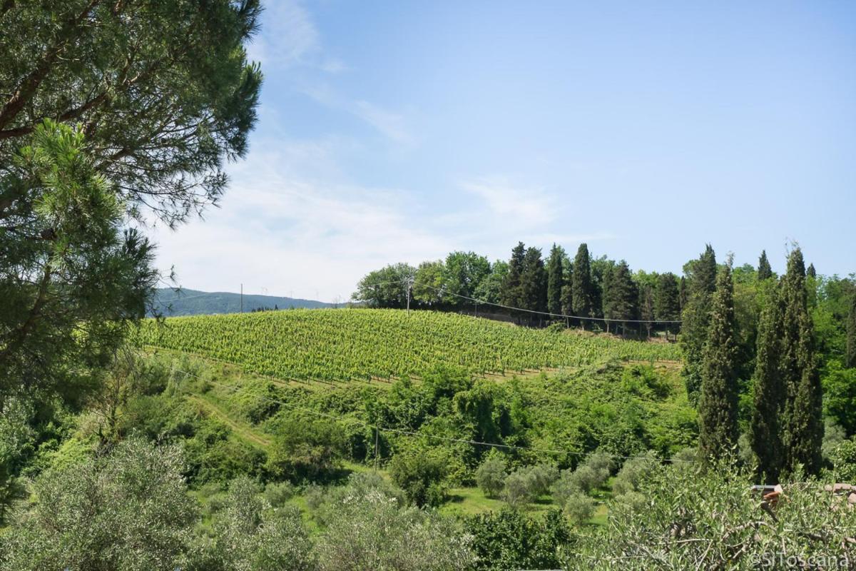 Agriturismo Terre di Toscana