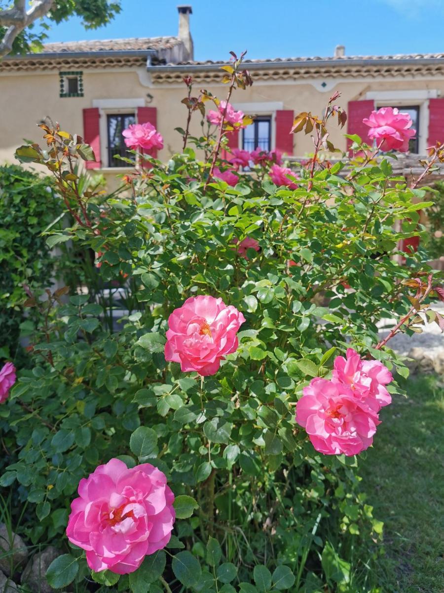 Lavand'Ange et SPA