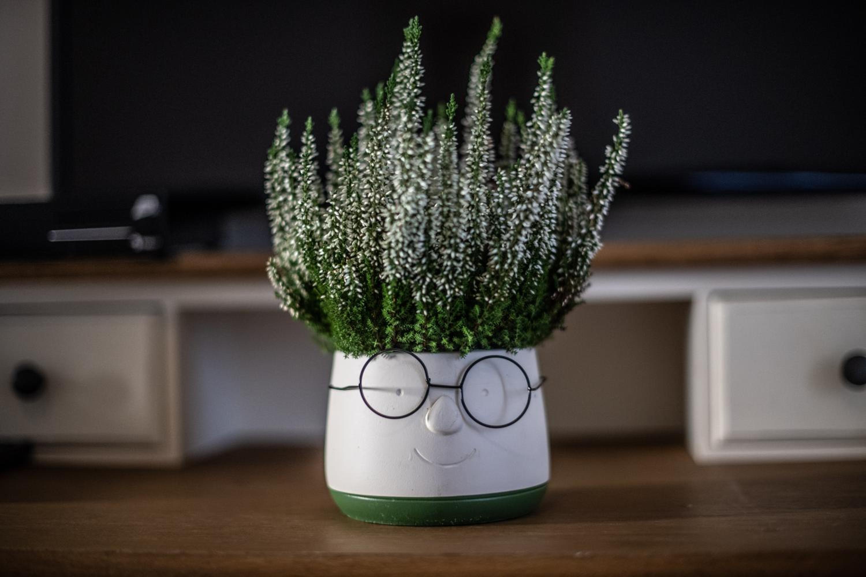 Rione Monti Home