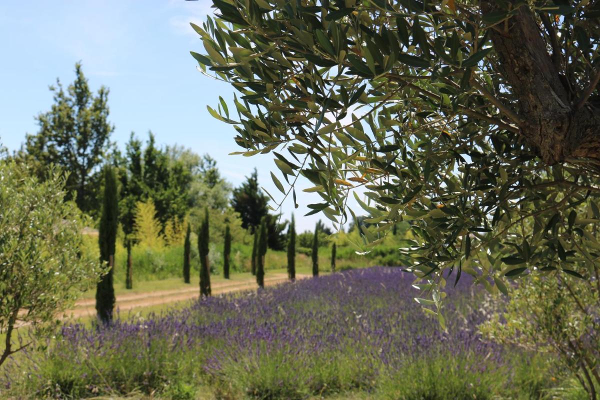 Lavand'Ange et SPA