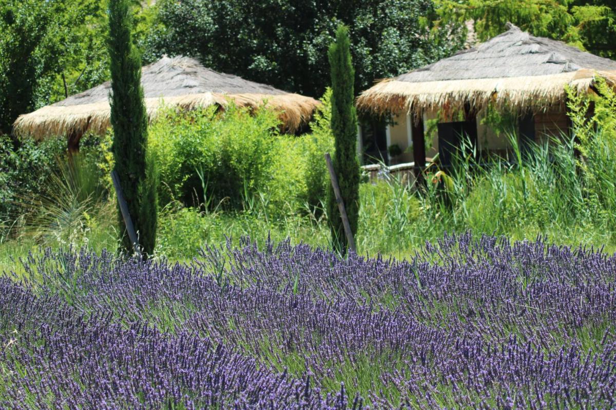 Lavand'Ange et SPA