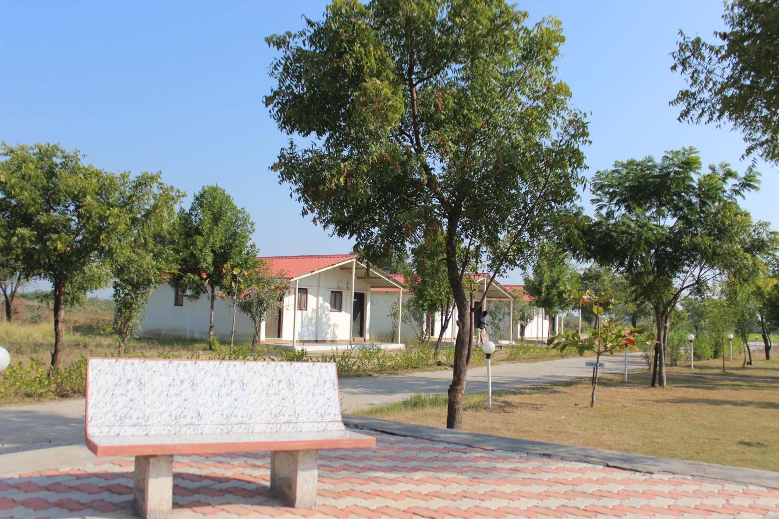 Photo 8