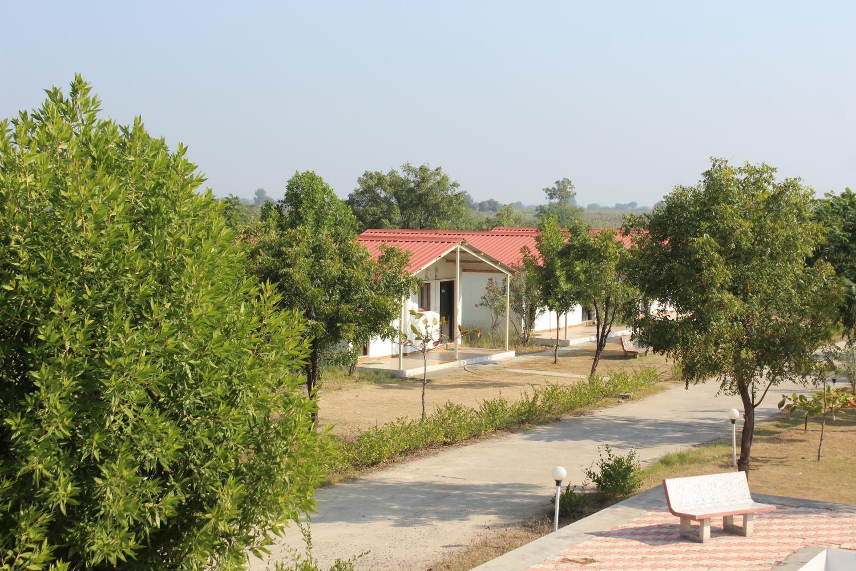 Photo 6